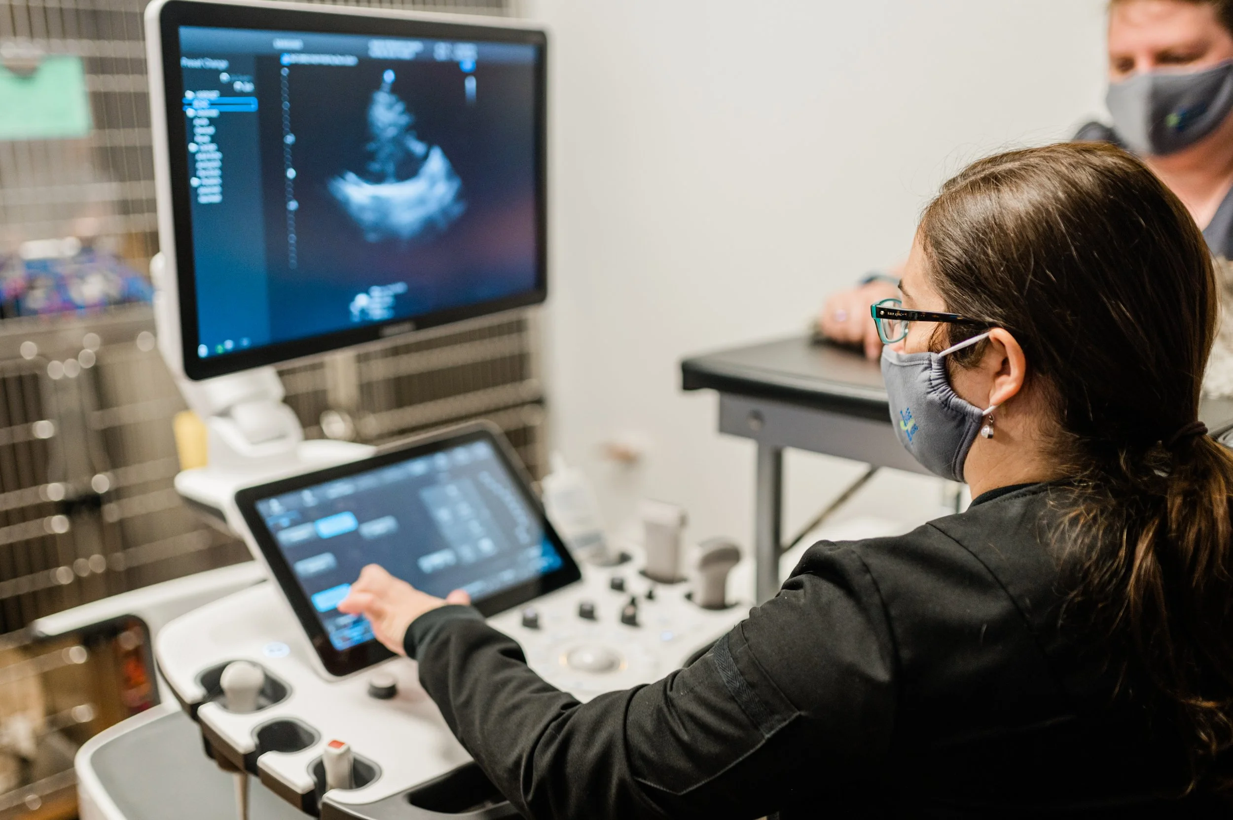 The Ultimate Guide to Ultrasound for Pets — Sage Veterinary Imaging