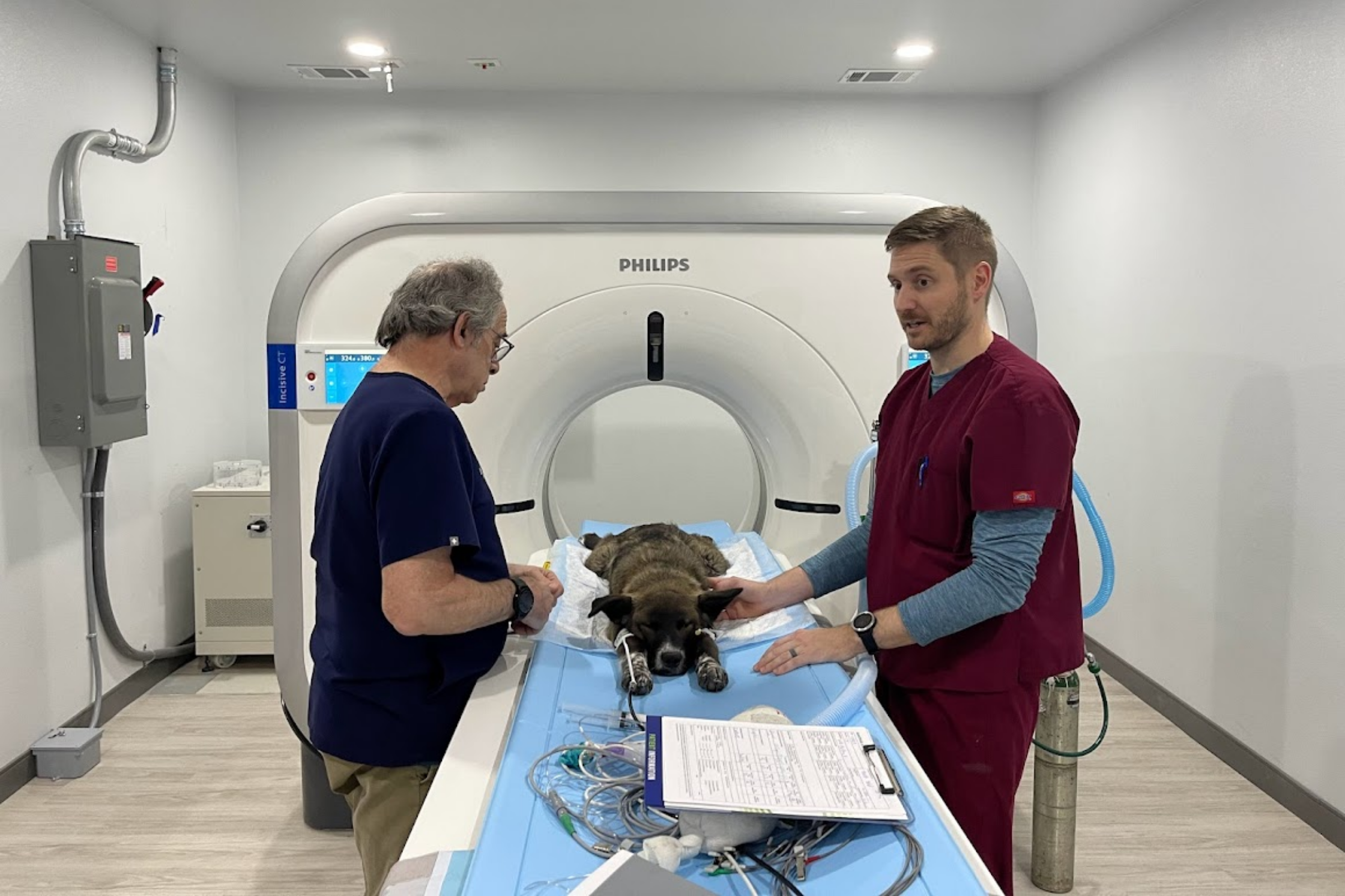 Veterinary team preparing a dog for a CT scan near Pflugerville, Texas