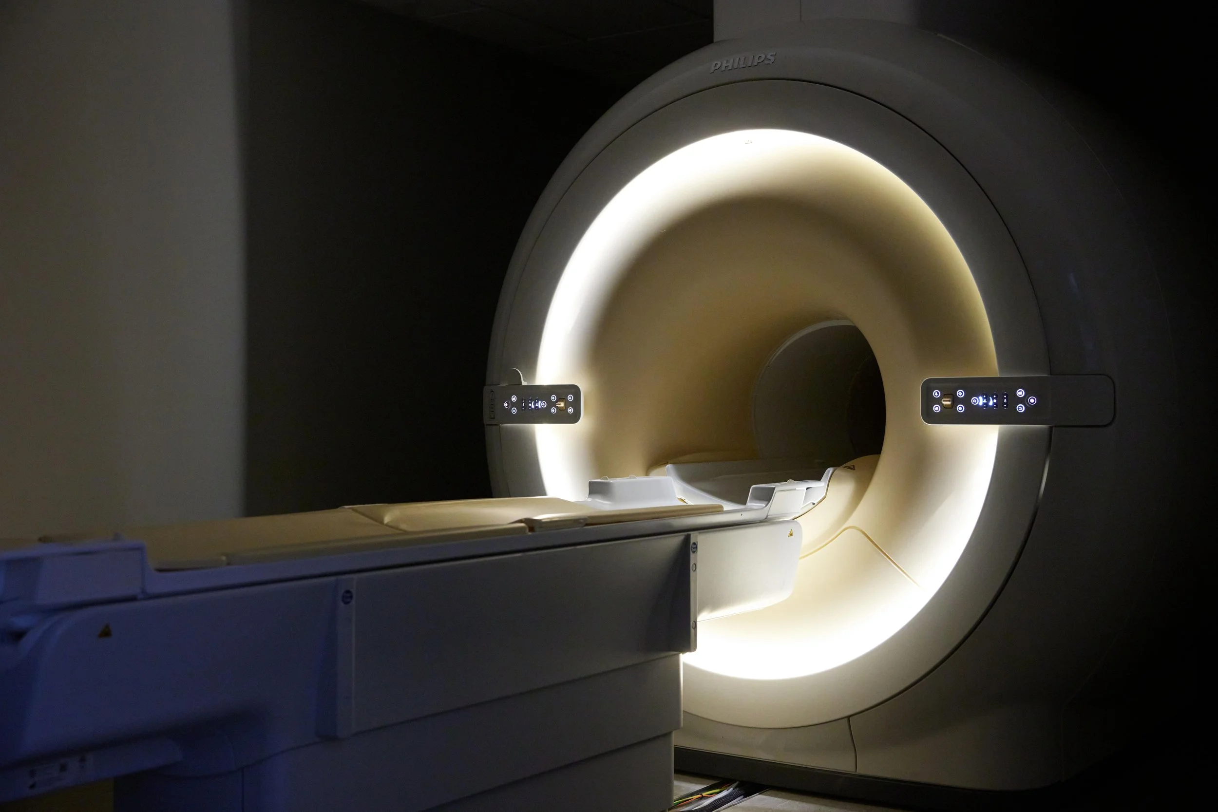 are dog mris safe