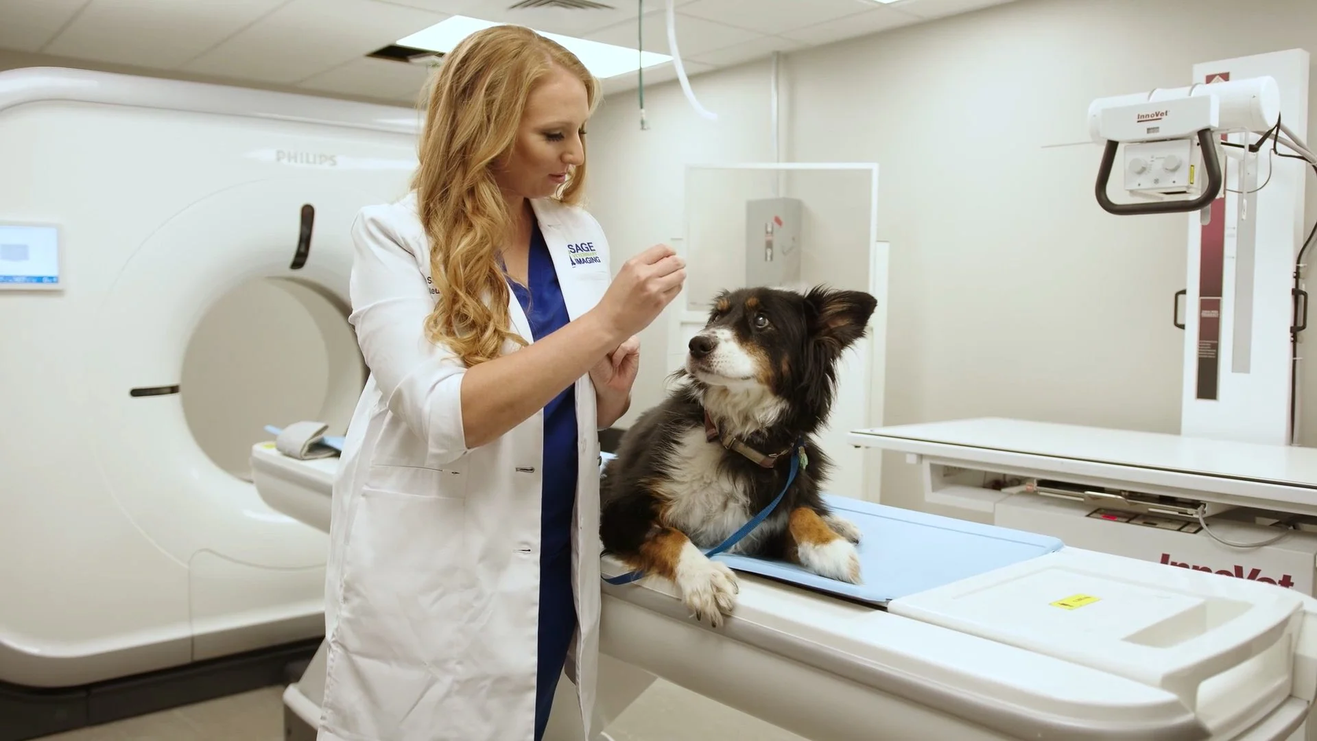 Q&A With a Vet CT Scans — Sage Veterinary Imaging Humanquality