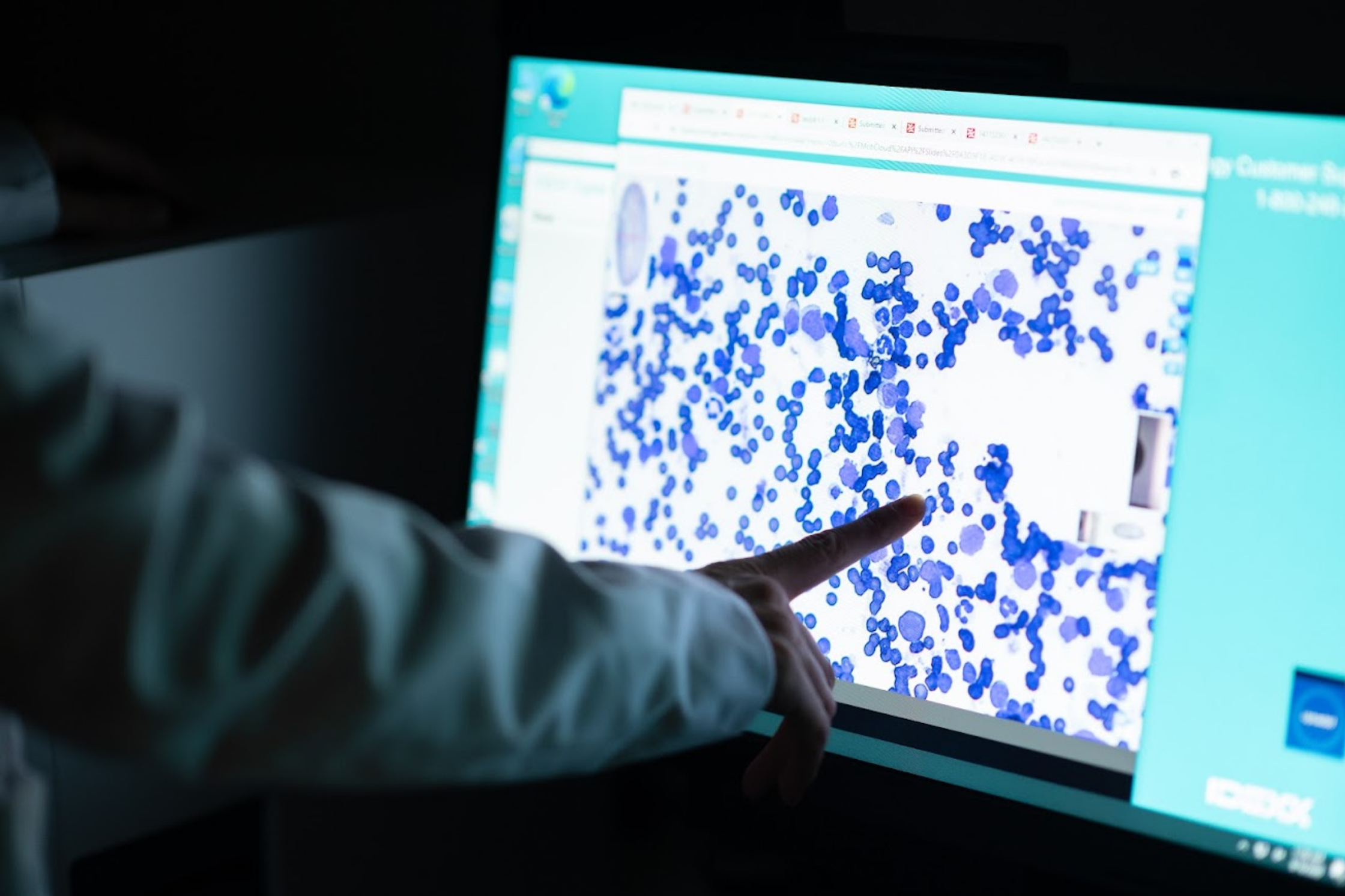 Veterinary specialist reviewing diagnostic findings on a laboratory monitor