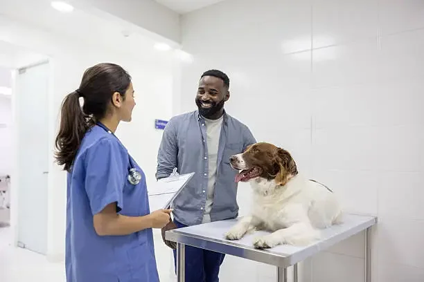 Veterinarian discussing a dog’s condition with a pet owner during an exam in a clinic