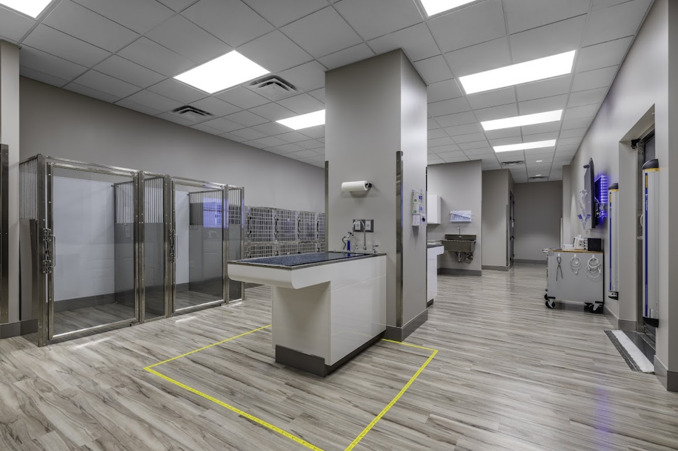 Interior treatment and patient care area at Sage Veterinary Imaging in Sandy, Utah
