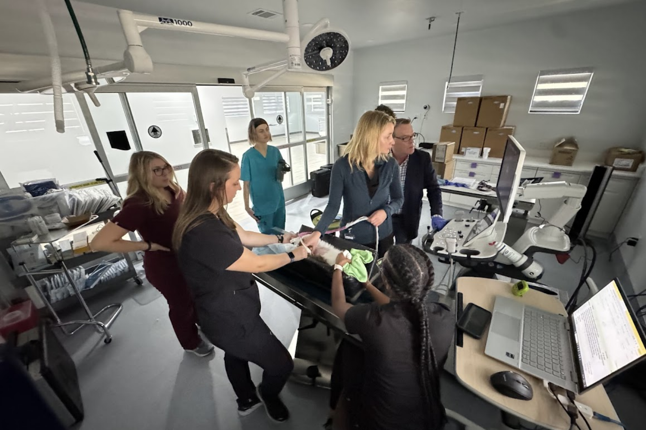 Veterinary imaging specialists performing an ultrasound examination on a patient