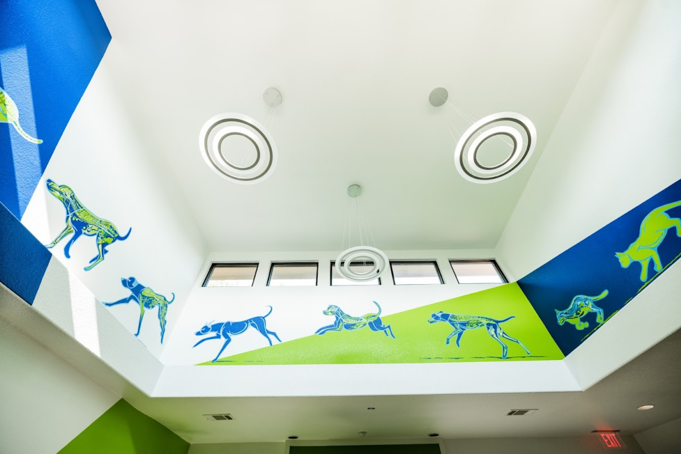 The Sage Veterinary Imaging facility in Spring, Texas serving pets across the Greater Houston area