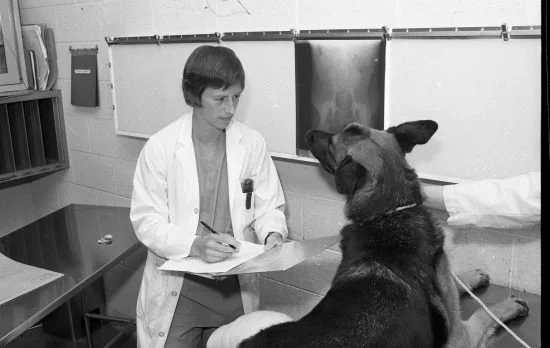 The history of ultrasound, MRI, and CT with Dr. Flo, a veterinary imaging specialist from the 1980s.