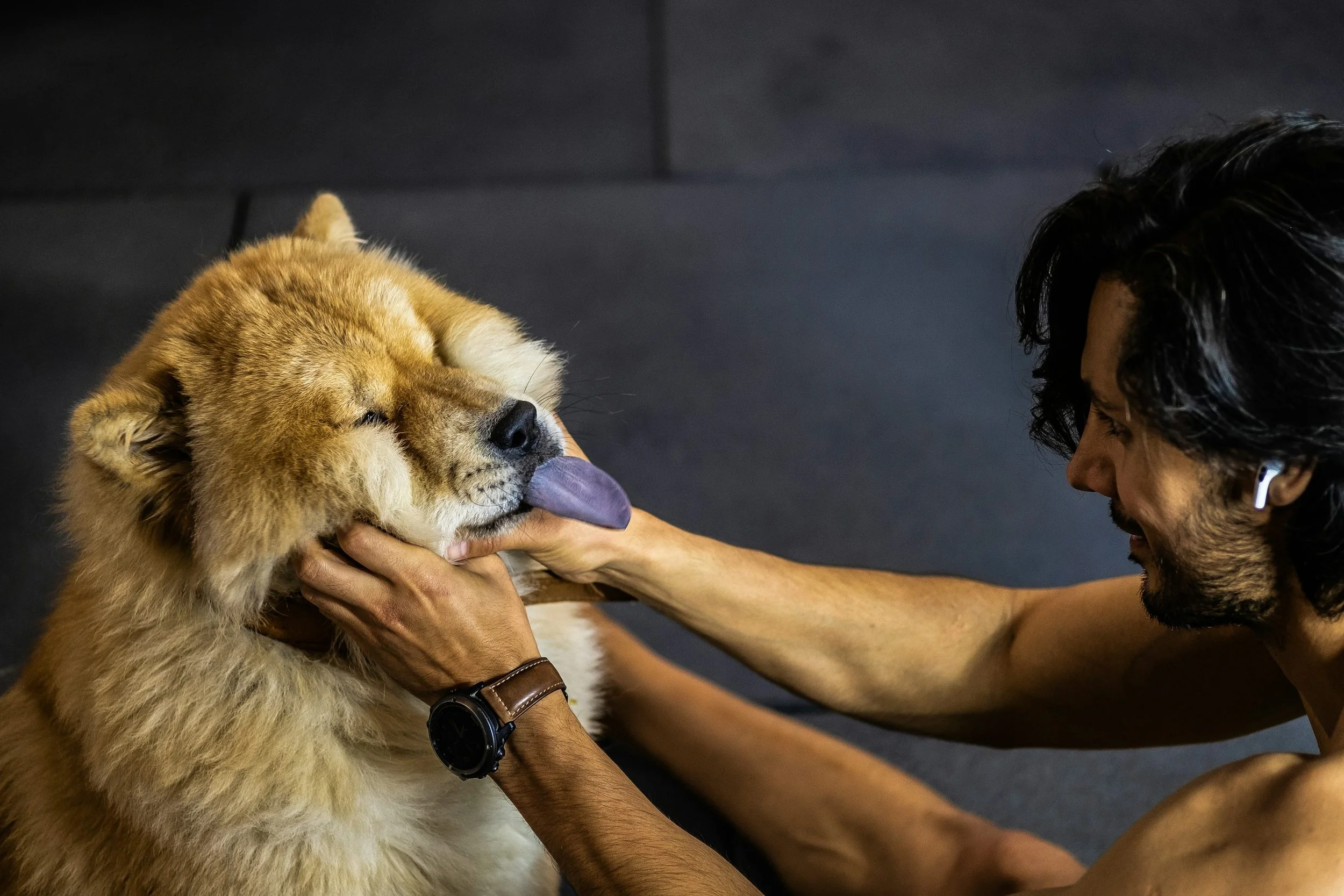 Pet owner gently examining a dog’s mouth during a health check at home