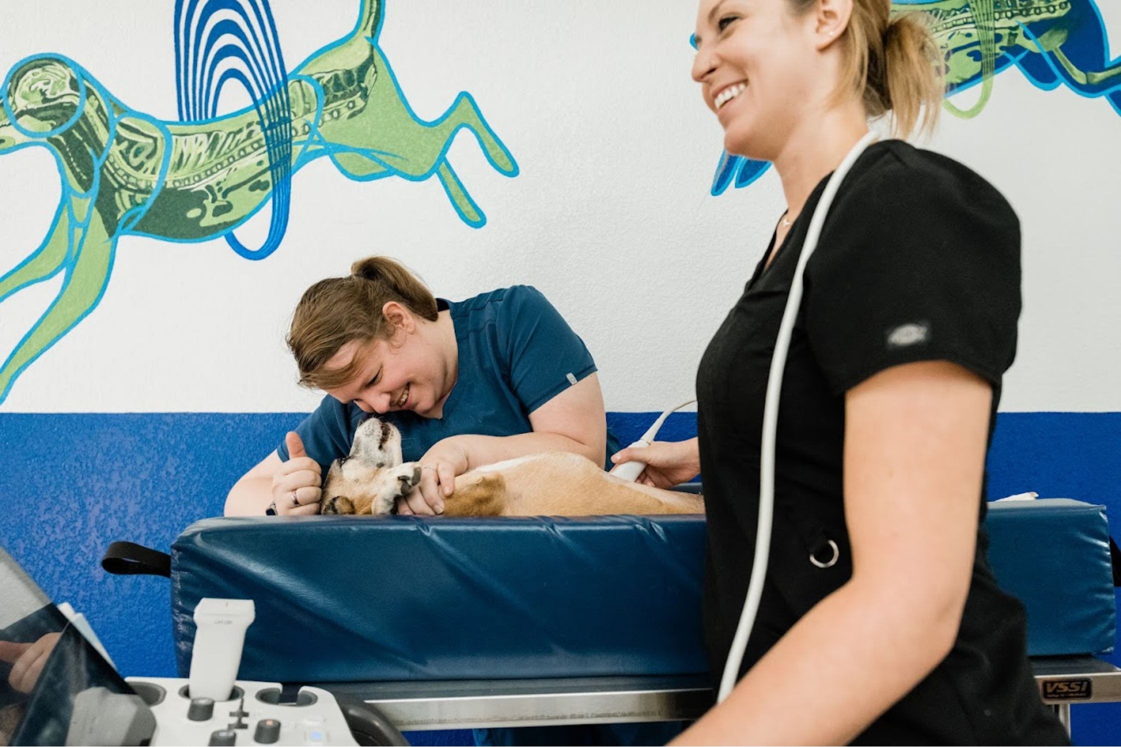 A veterinarian performing an echocardiogram on a pet at Sage Veterinary Imaging in Round Rock, Texas