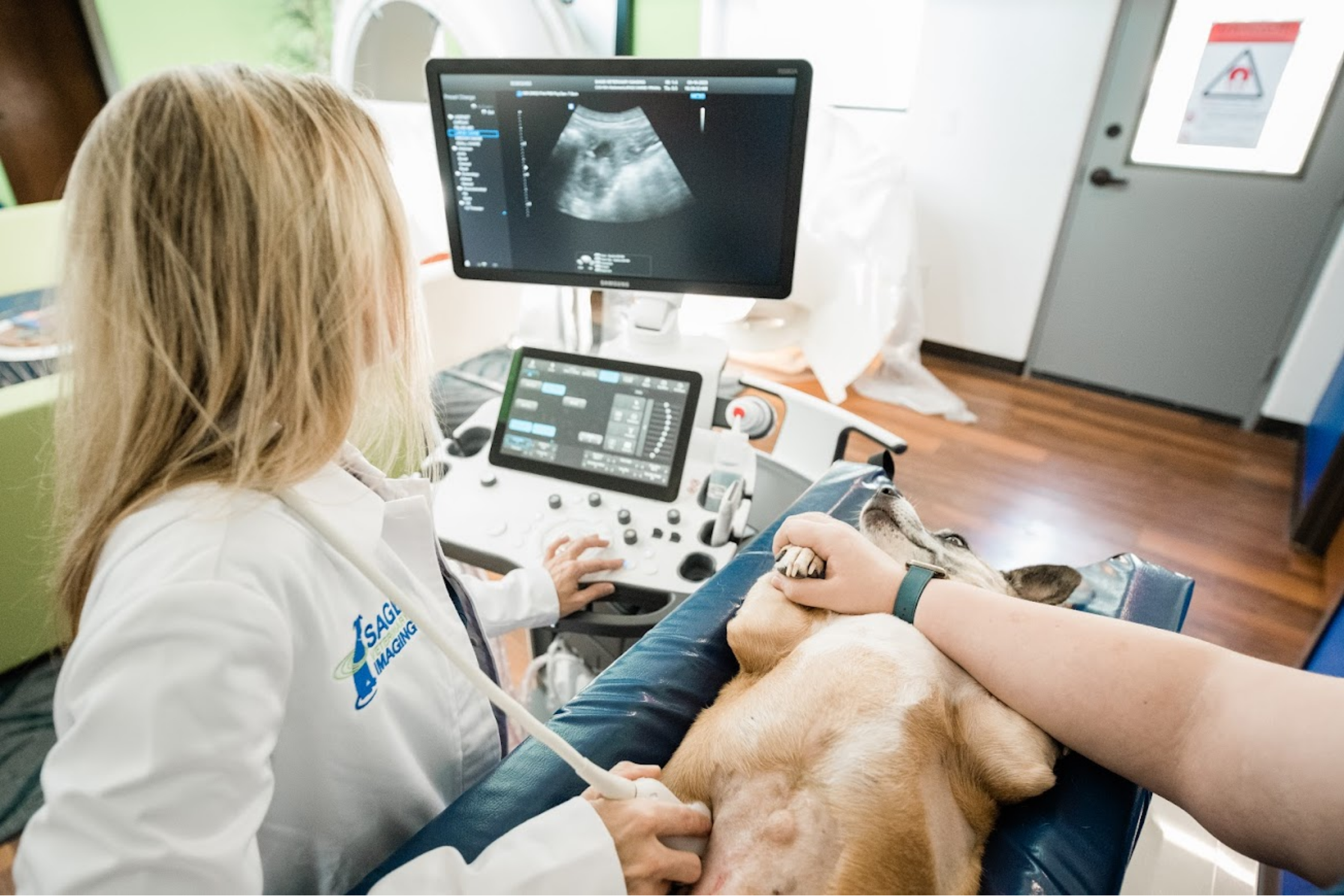 Veterinary radiologist performing an abdominal ultrasound on a dog at Sage Veterinary Imaging near Houston, Texas