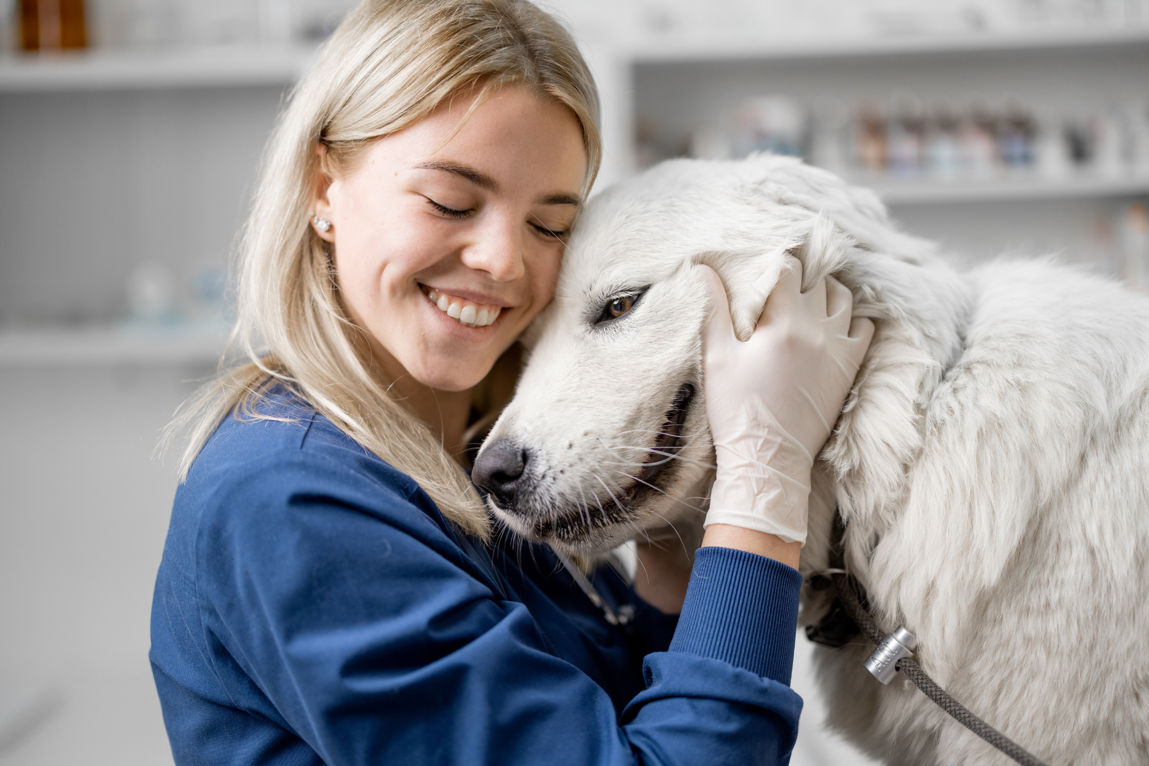 A veterinary professional comforting a dog before urgent diagnostic imaging at Sage Veterinary Imaging near Houston, Texas