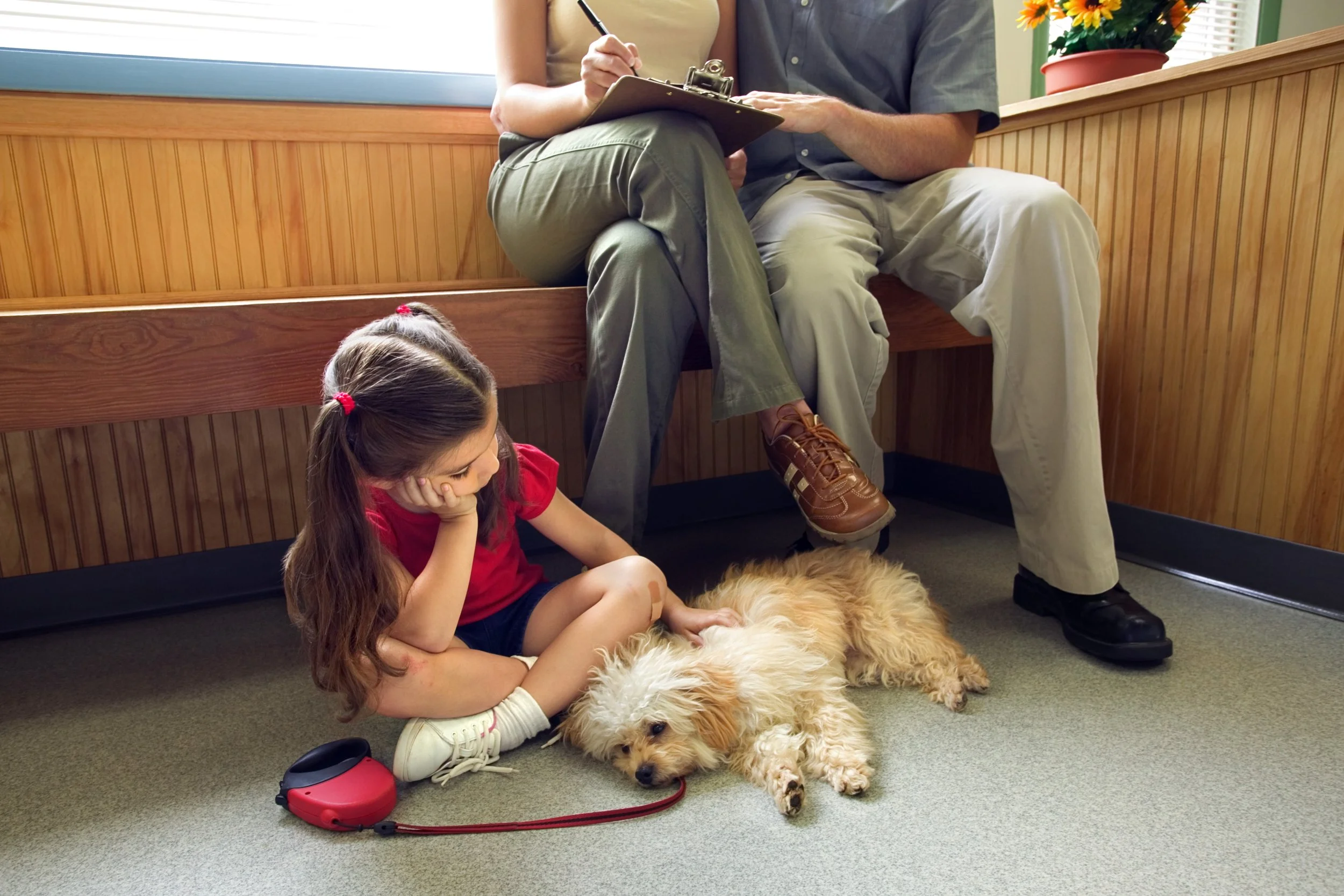 A family waiting with their dog before advanced diagnostic imaging near Friendswood, Texas