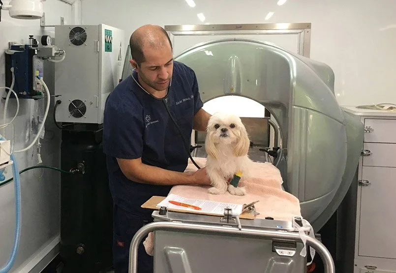 Mobile CT brings advanced imaging directly to patients, expanding access beyond specialty clinics. Photo courtesy of Mobile Pet Imaging