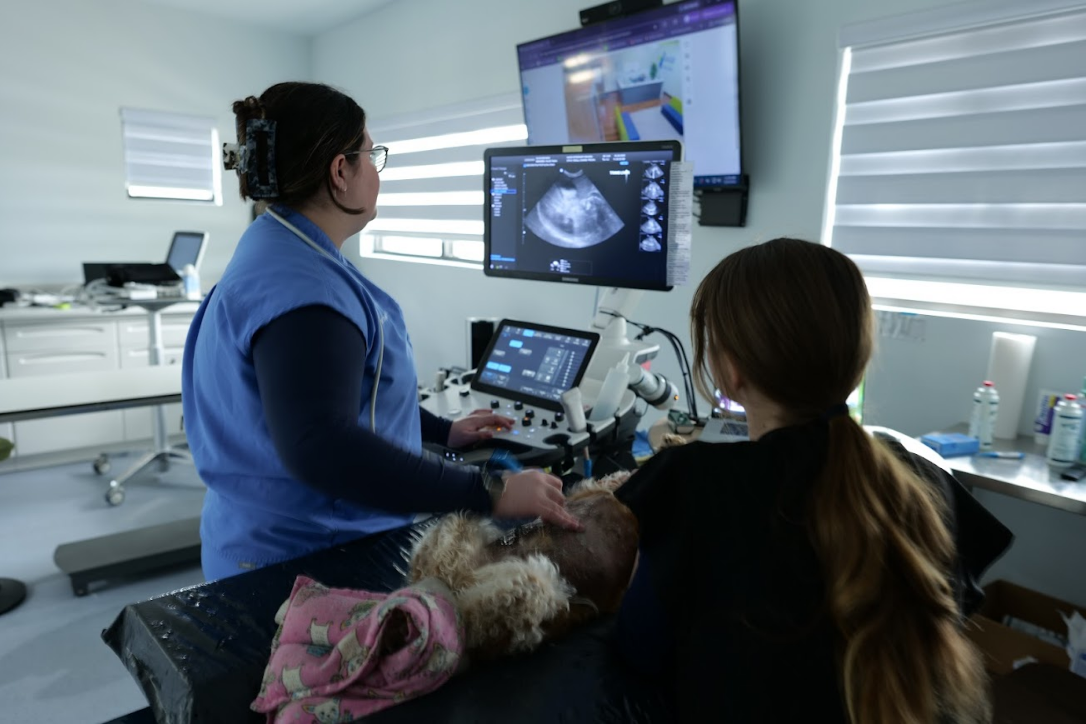 Veterinary professionals reviewing diagnostic ultrasound images at Sage Veterinary Imaging