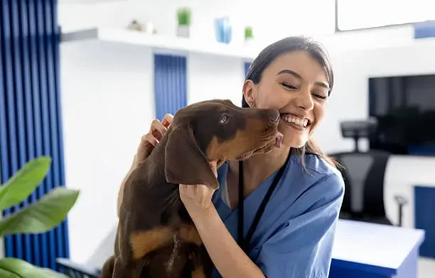 Veterinarian smiling while holding and interacting with a dog in a clinical setting
