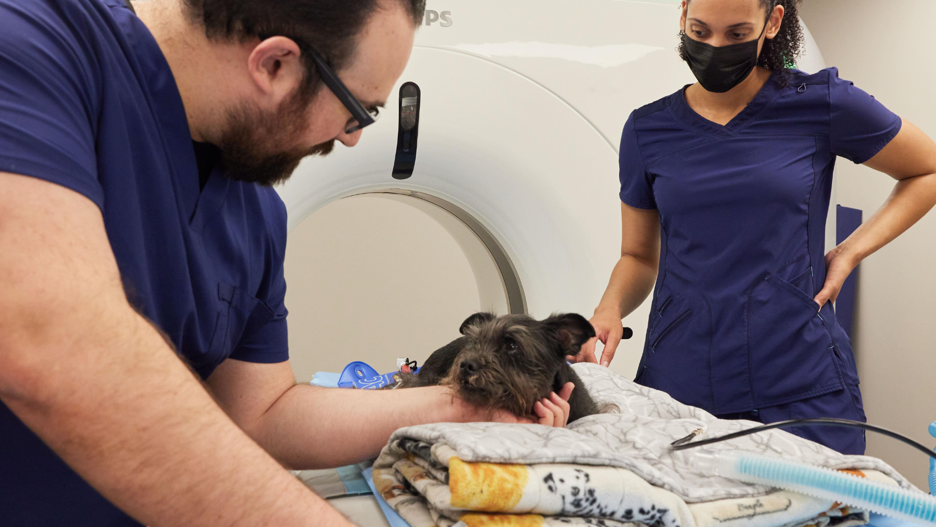 The Difference Between a DVM Radiologist and an MD Radiologist — Sage  Veterinary Imaging | Human-quality imaging for pets