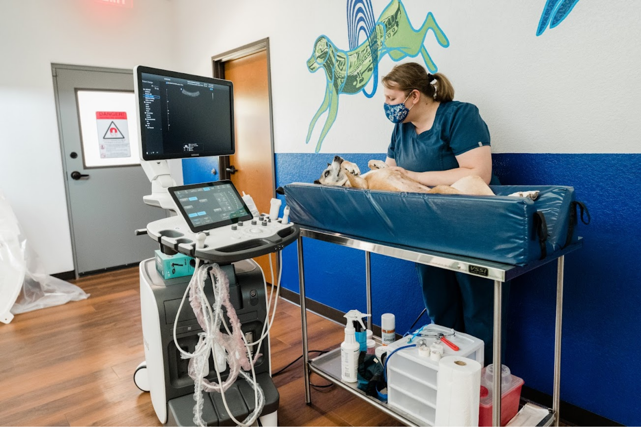 A dog receiving advanced diagnostic imaging near Pflugerville, Texas at Sage Veterinary Imaging