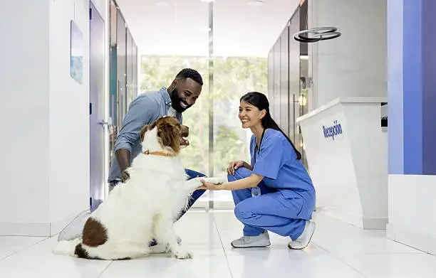 Veterinarian performing a diagnostic exam on a dog in a modern veterinary clinic near Austin Texas