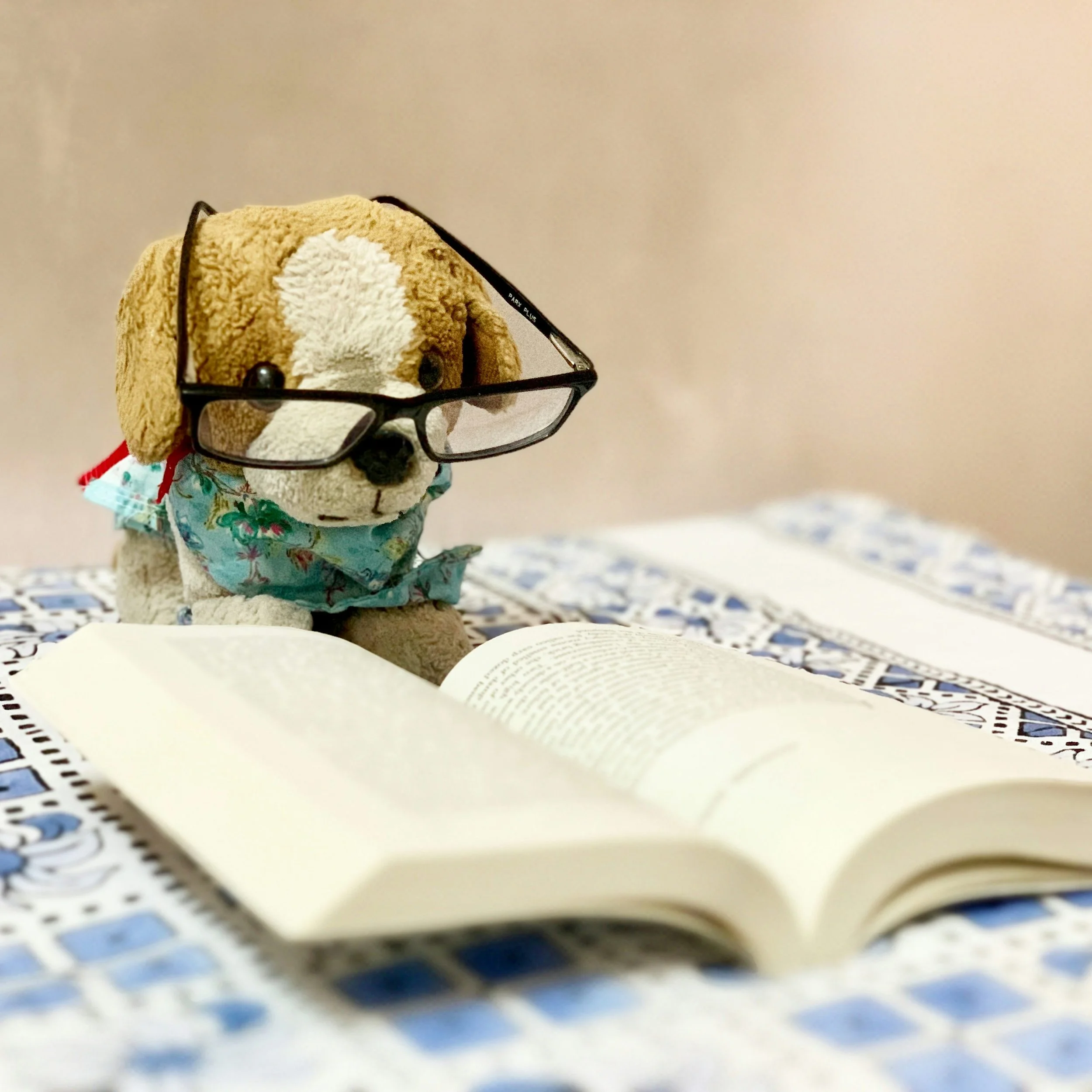 Toy dog with glasses reading representing the need for deeper diagnostic evaluation in veterinary imaging