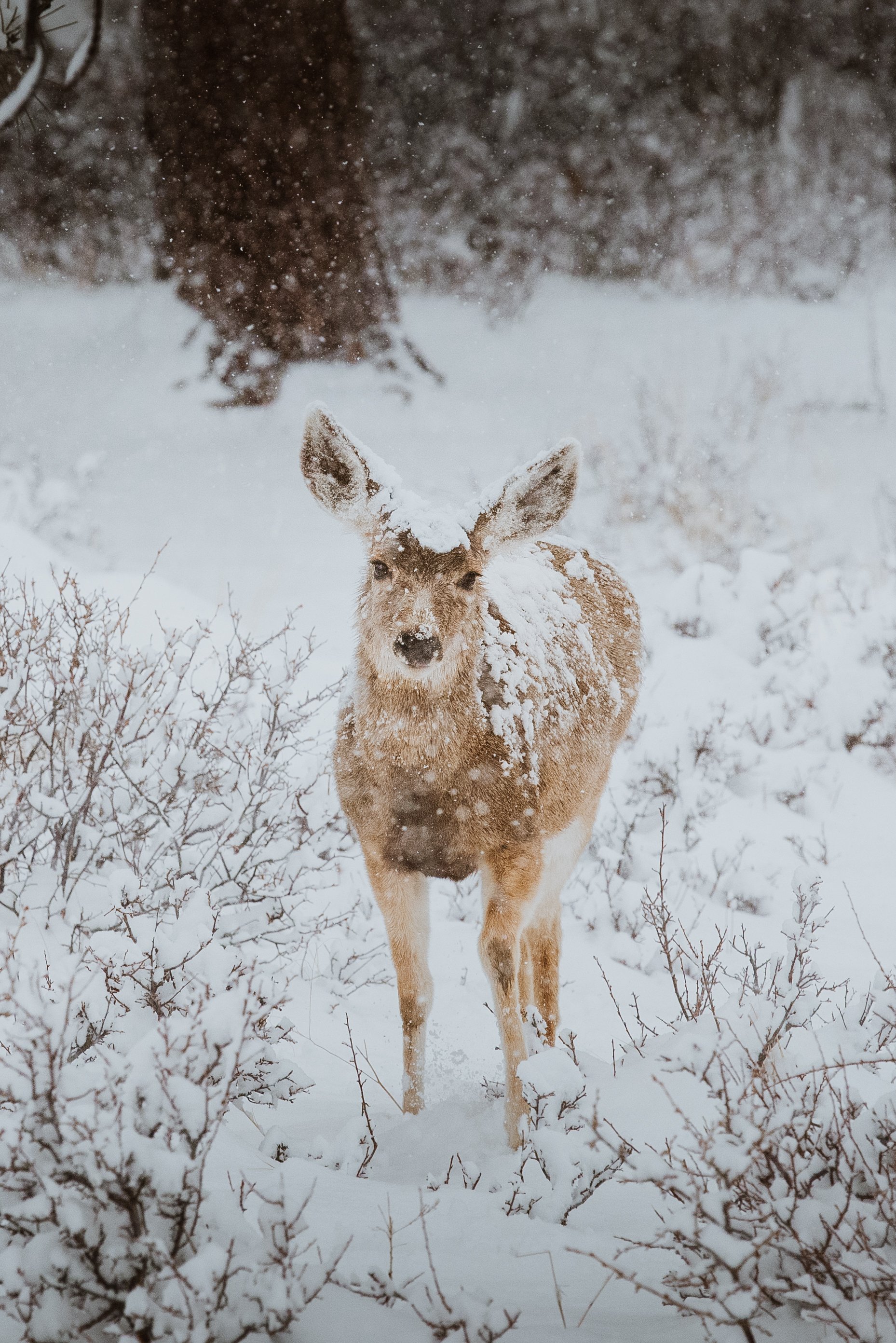 DSC_6105.jpg