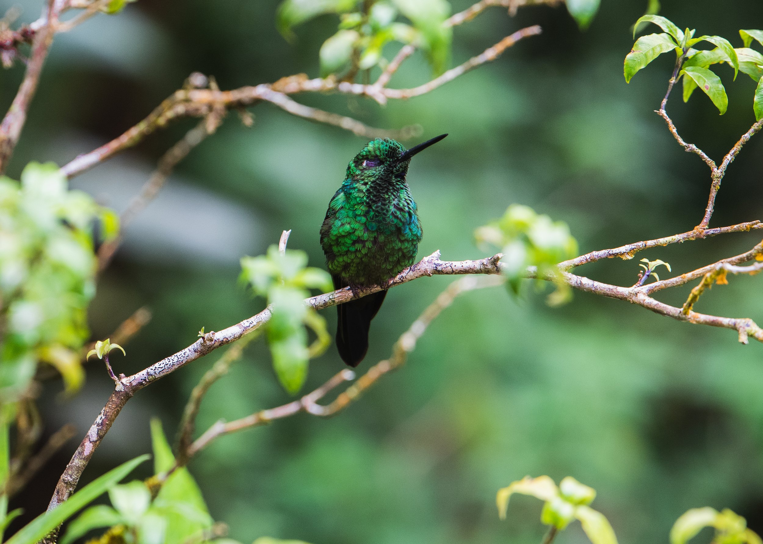 DSC_4738.jpg