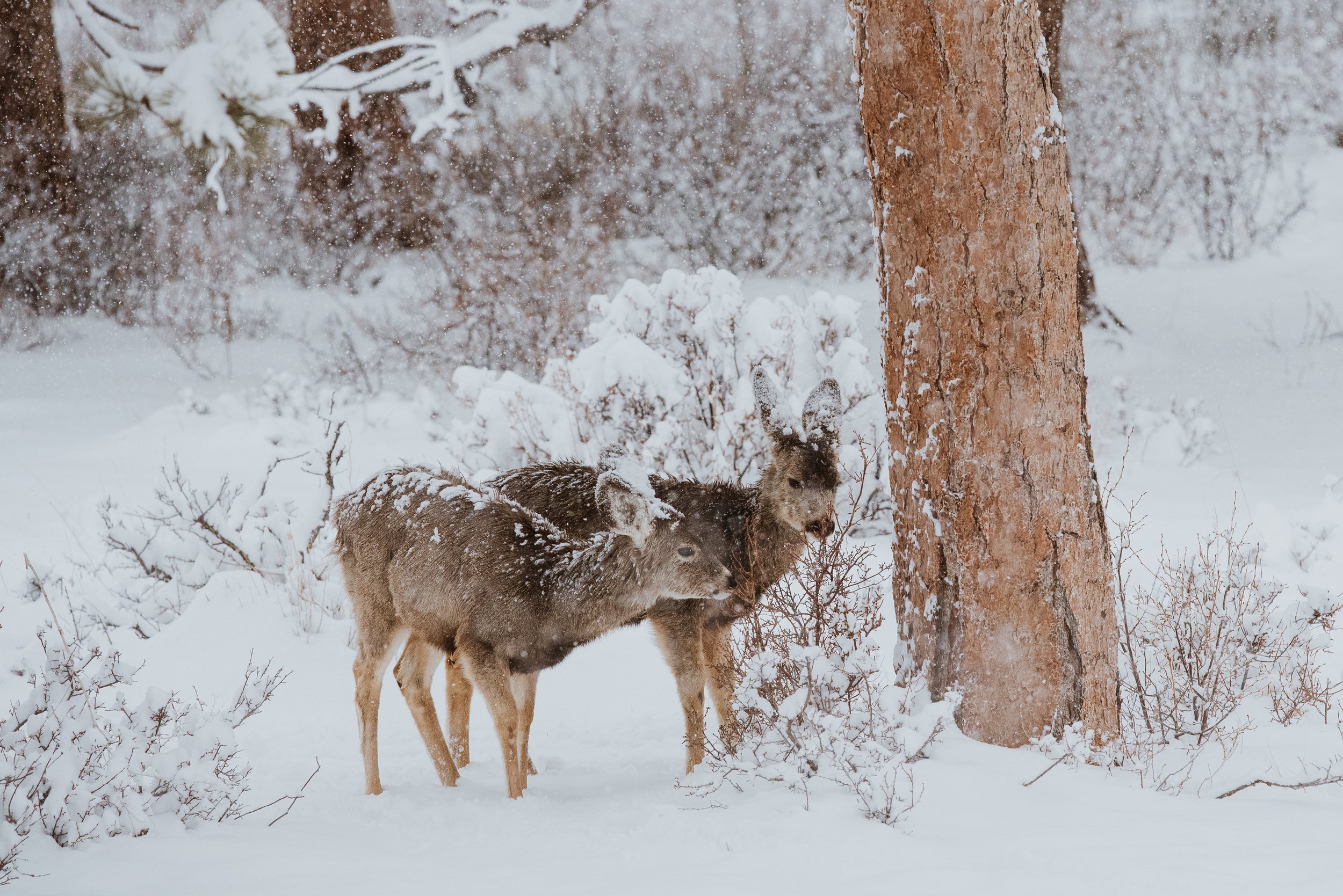 DSC_6095.jpg