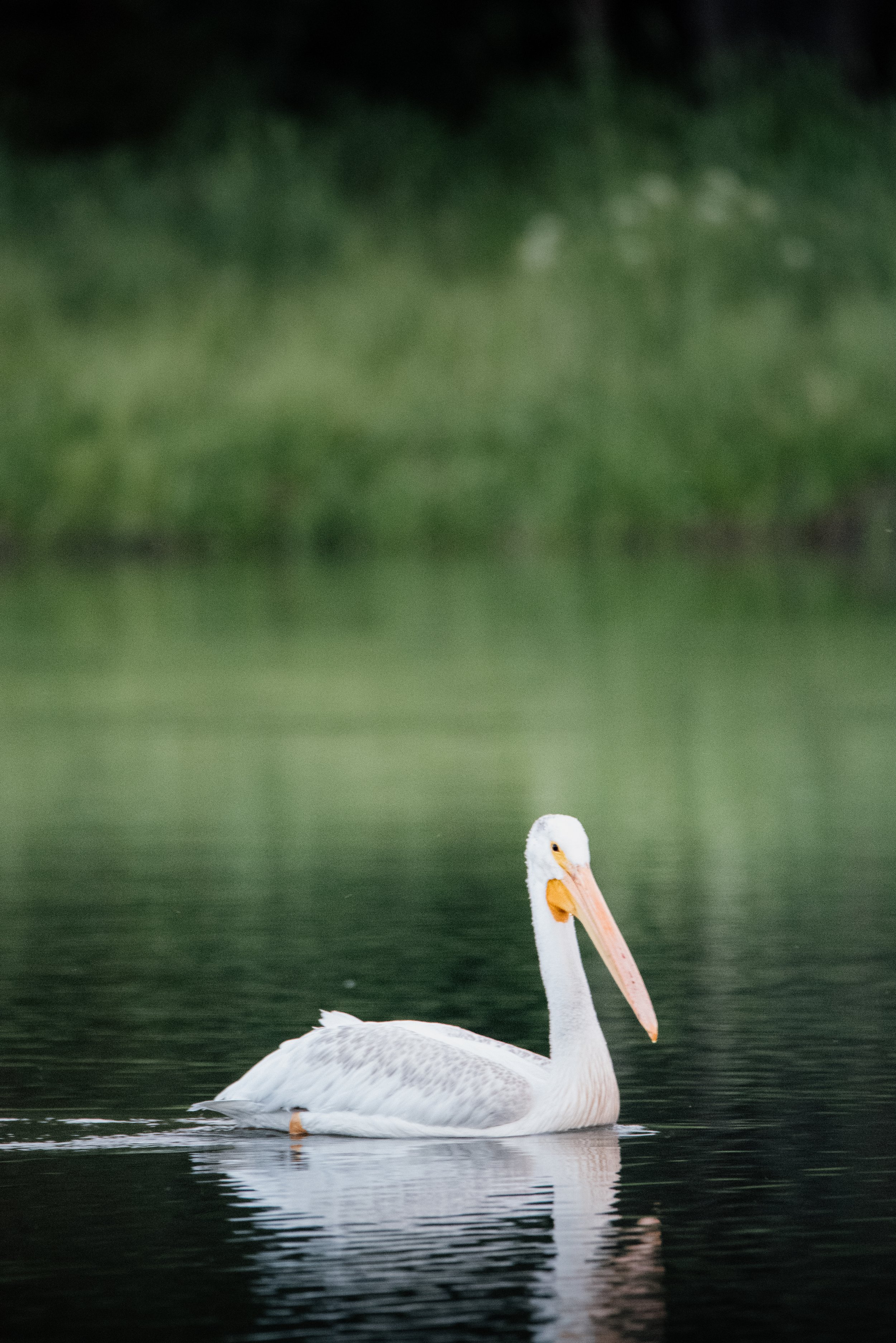 DSC_1476.jpg