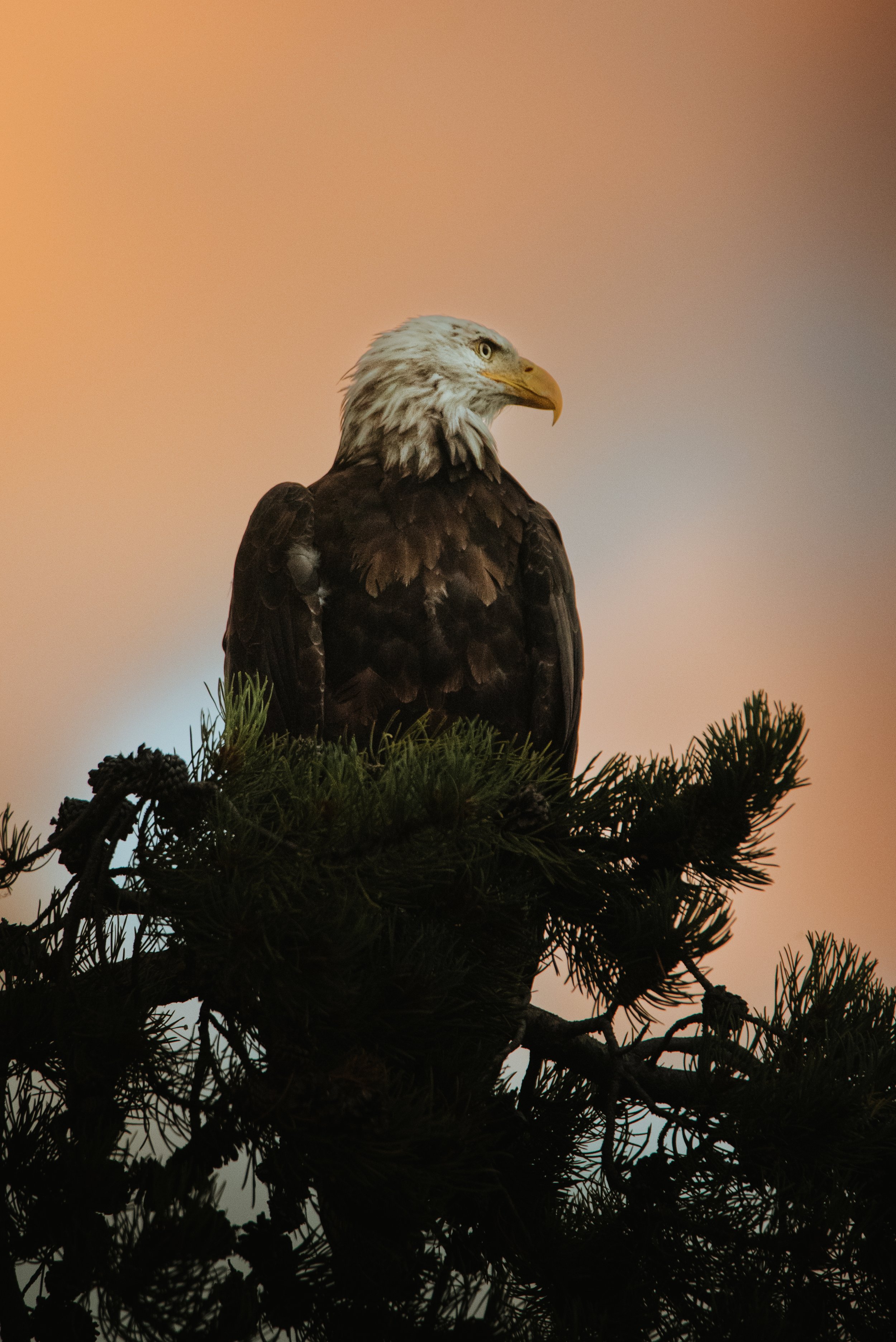 DSC_1452.jpg