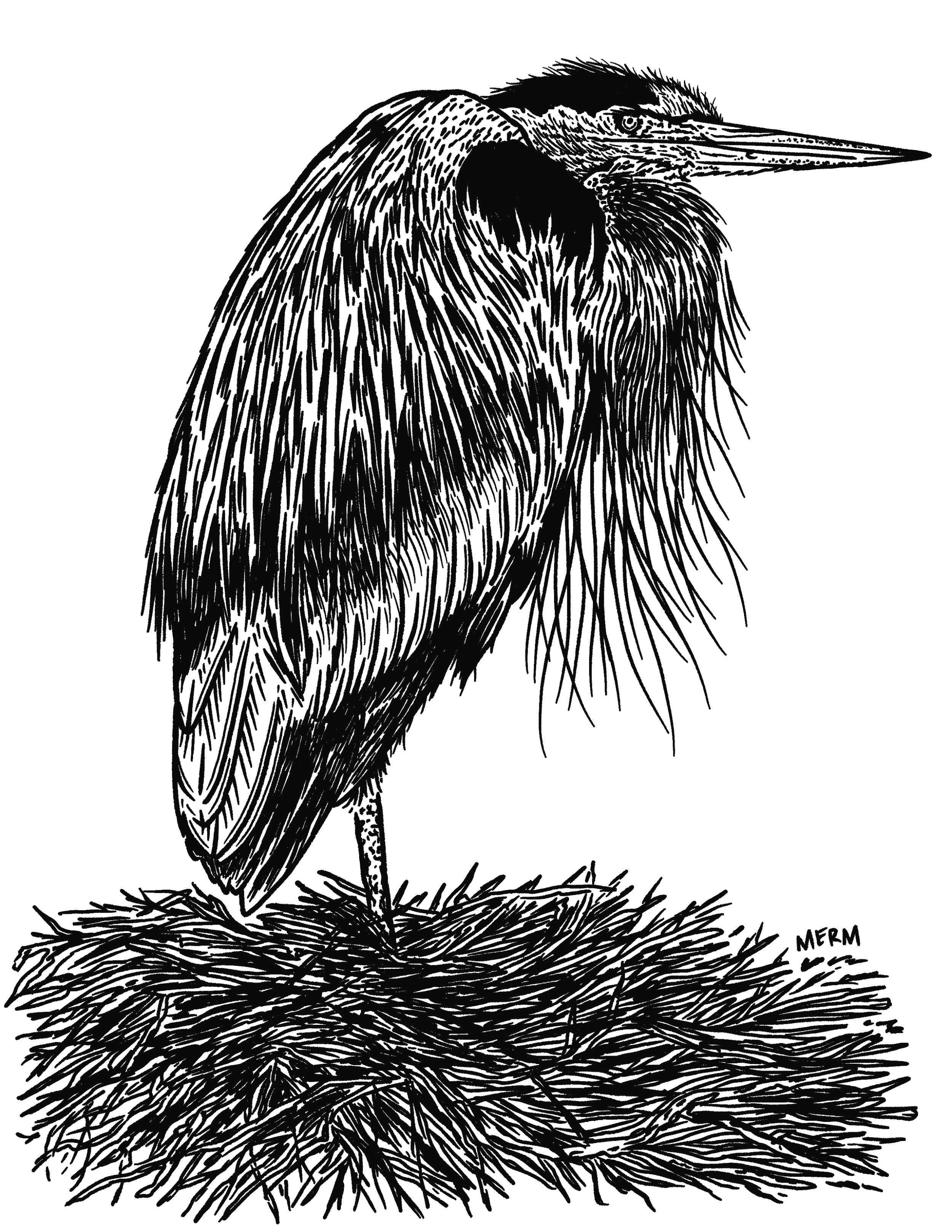 IMG_2196.png