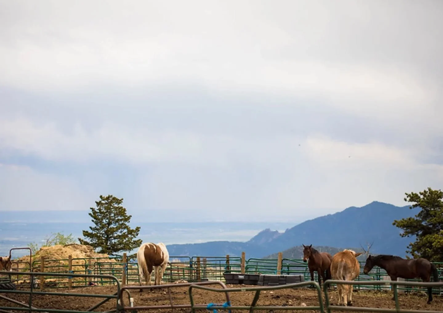 LIFE UPDATE: 

I'm off to Colorado to work on a ranch for the summer. I'll have some limited weekend availability for shows/events until mid August. Books are open after August 15. Catch you all on the other side of the Continental divide!