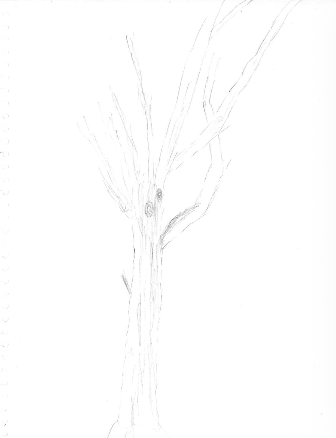 Screenshot 2026-09-18 at 4.31.12 PM.png