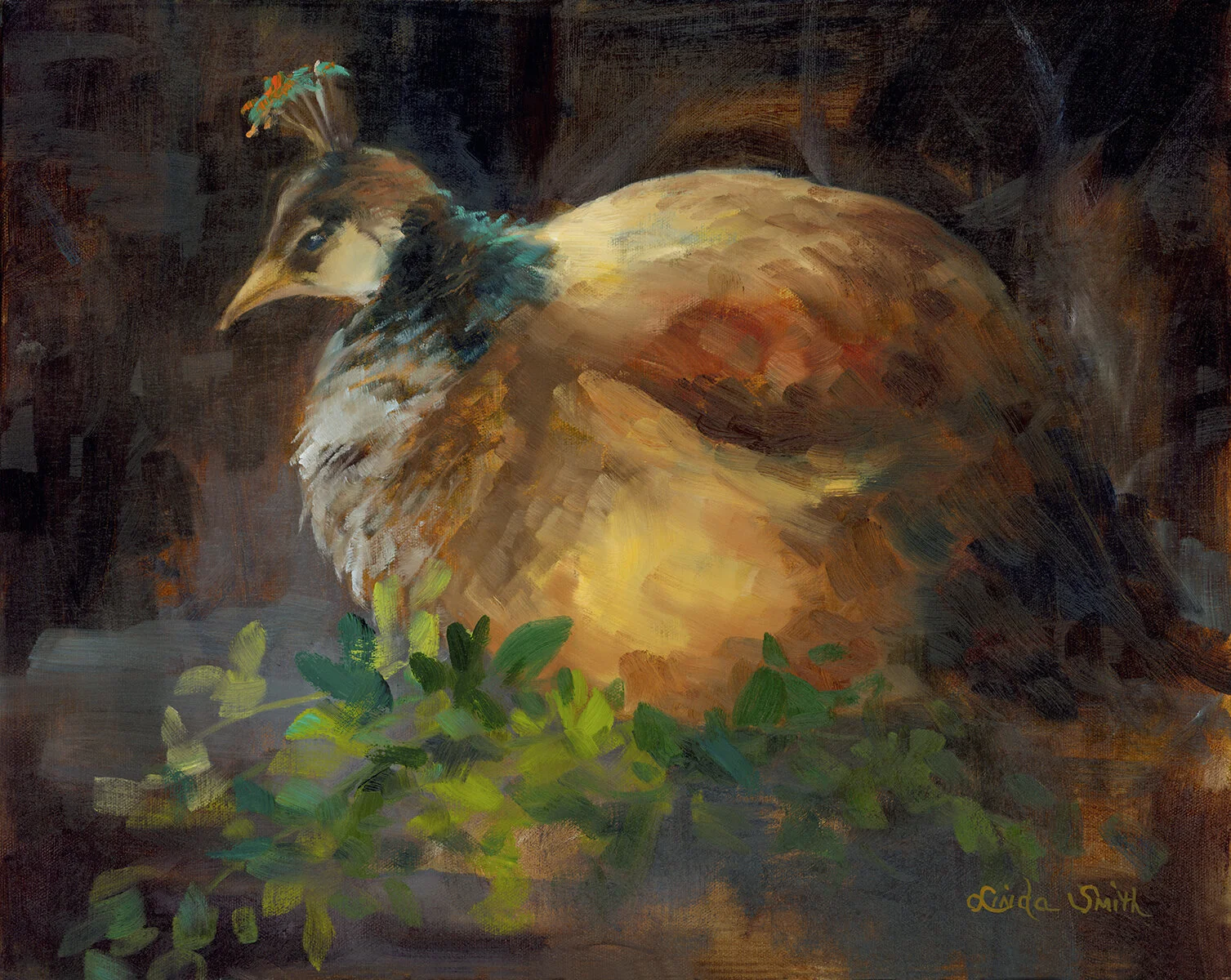 P-hen -S.jpg