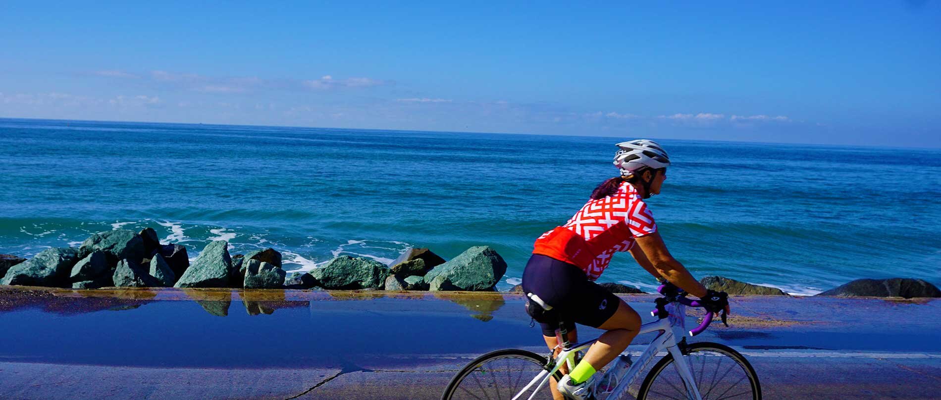 Cyclist Bike Ms Cycle To The Shore 2021 Bike The Coast 2021 2025