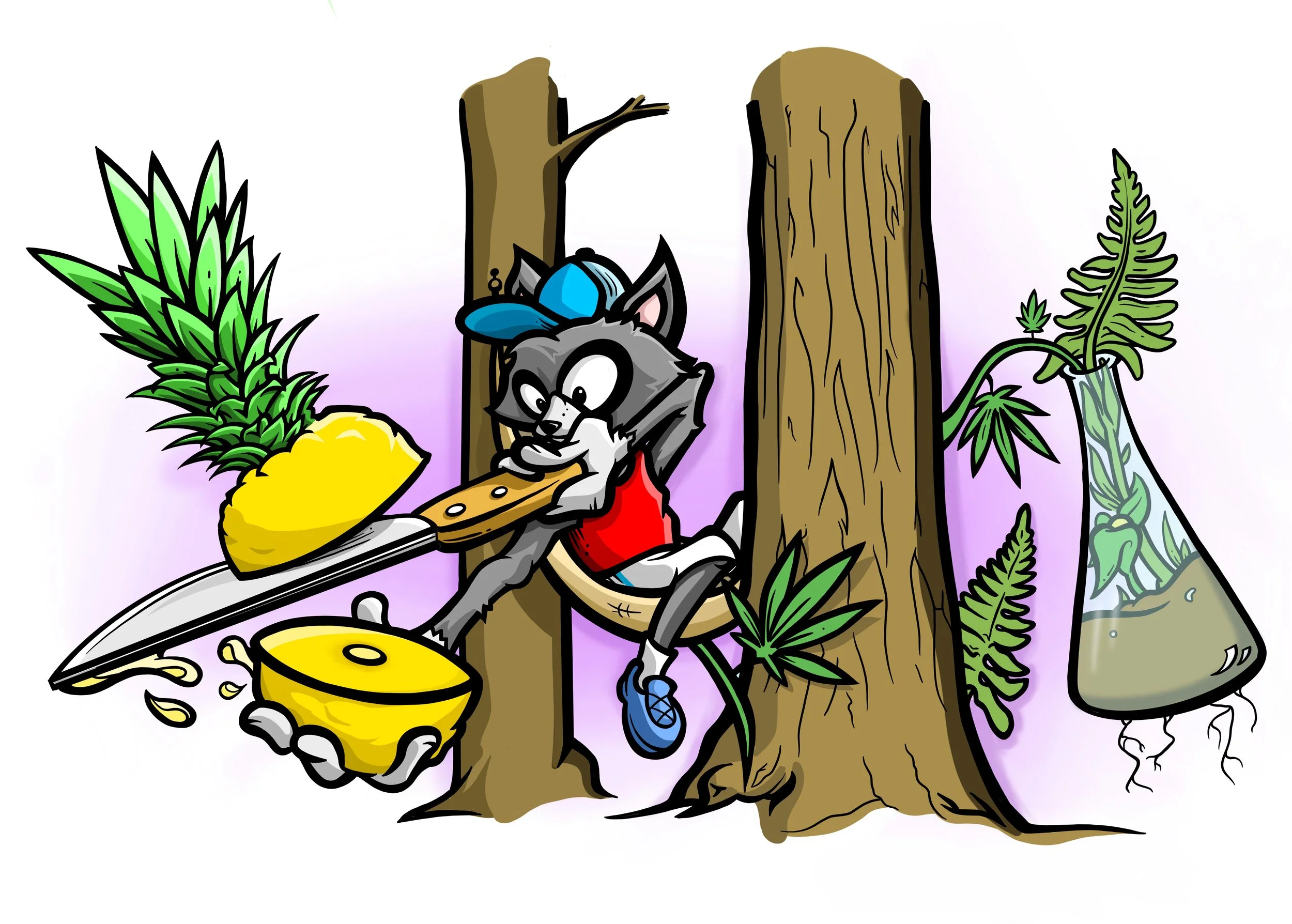 Copy of NEXRacoon.jpg