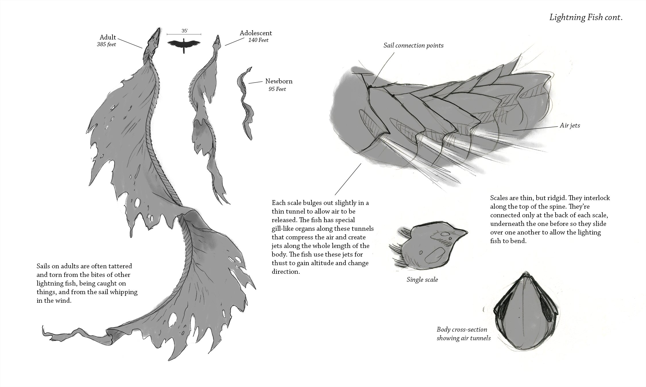 Lightning fish designs Page 002.jpg