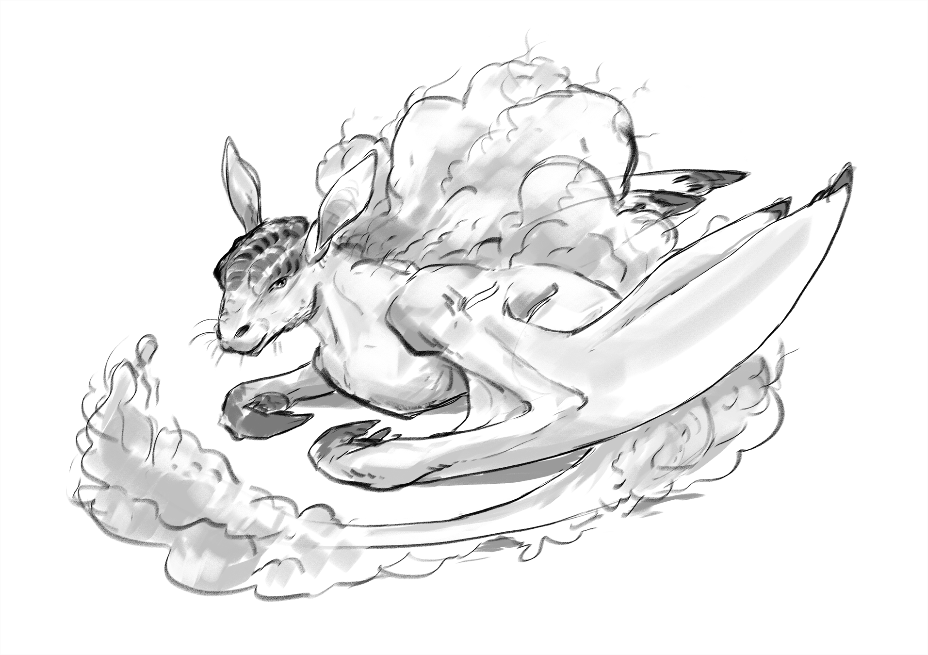 Nymbak sketch+01.png