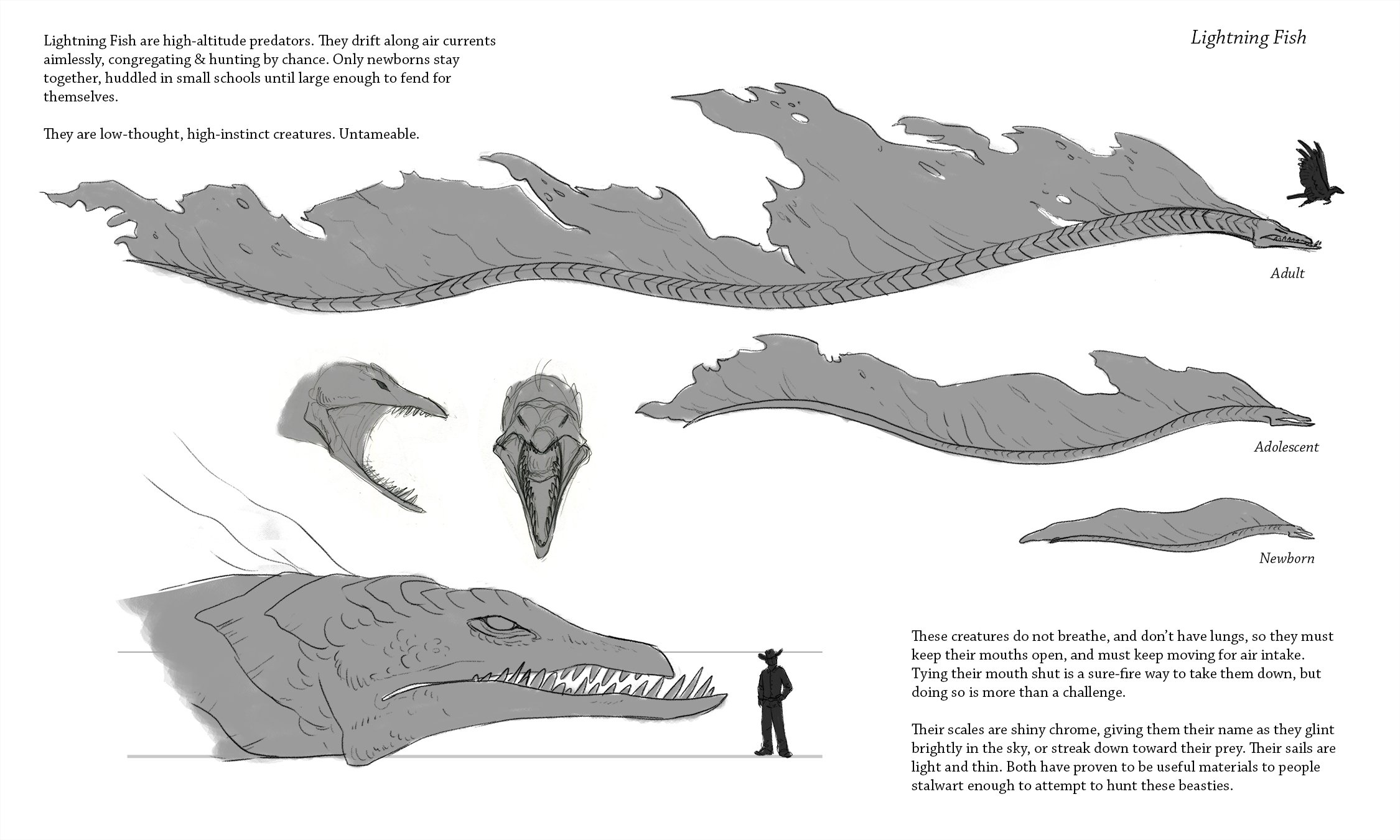 Lightning fish designs Page 001.jpg