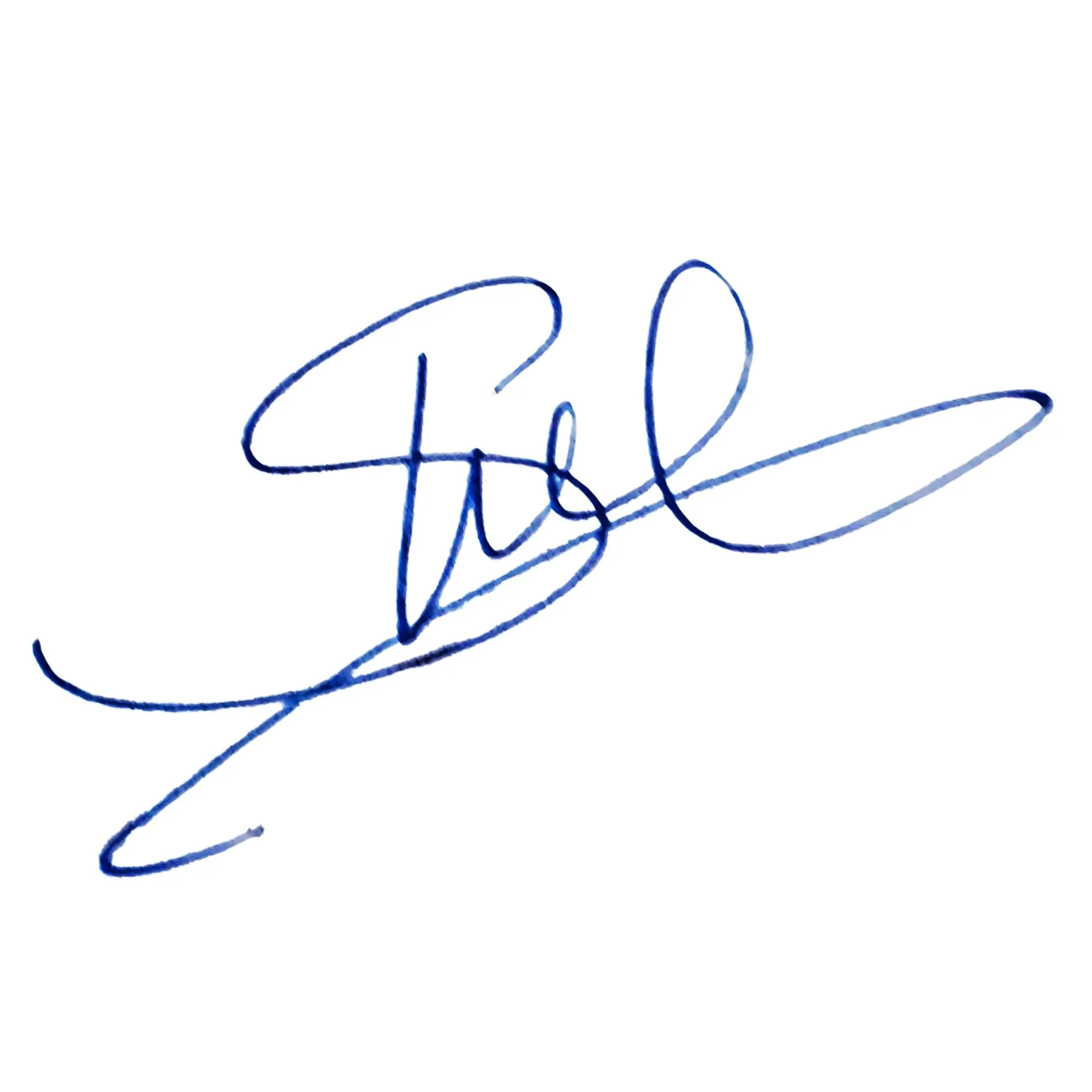 Blue Shel Digital Signature