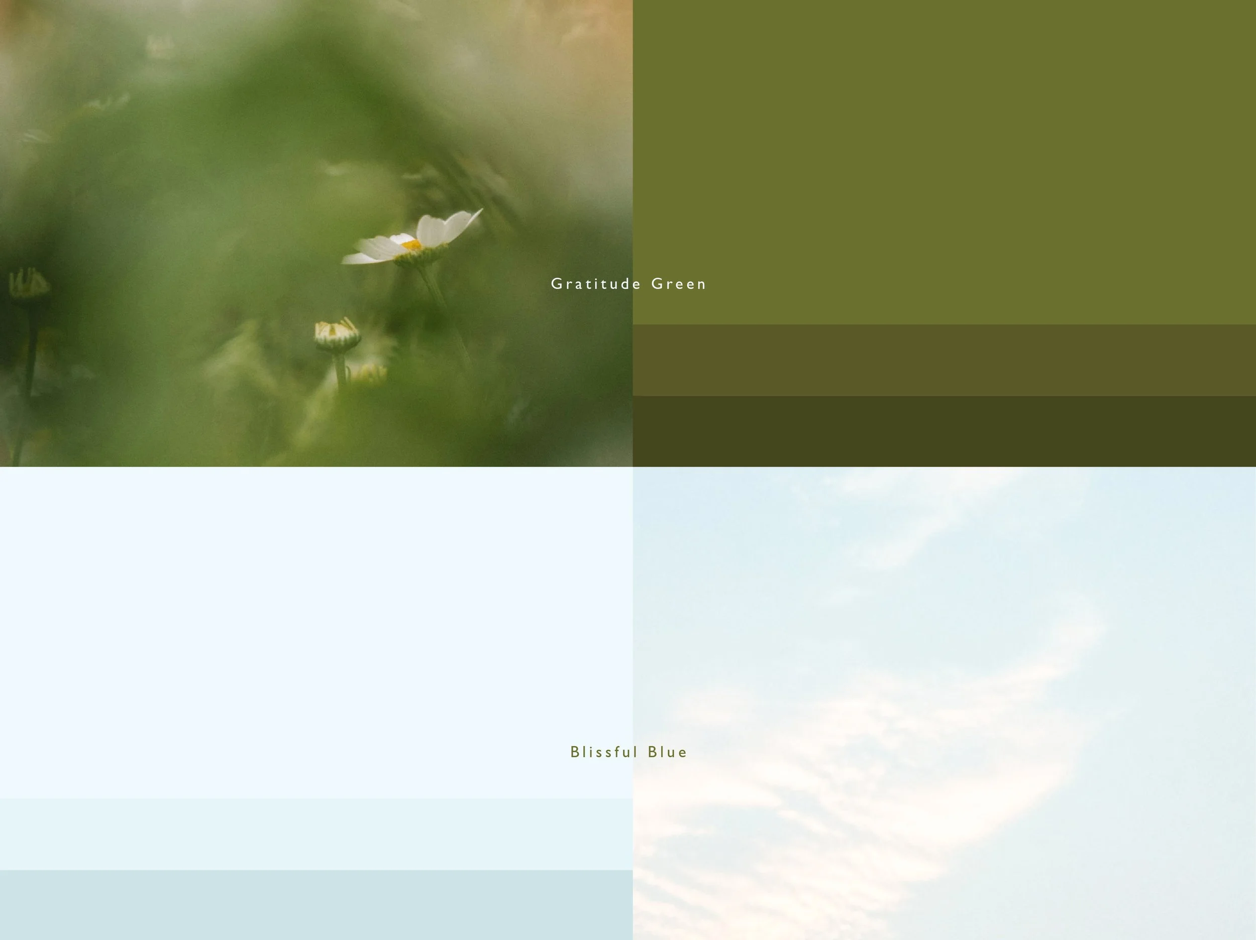 Untitled-1-05.jpg