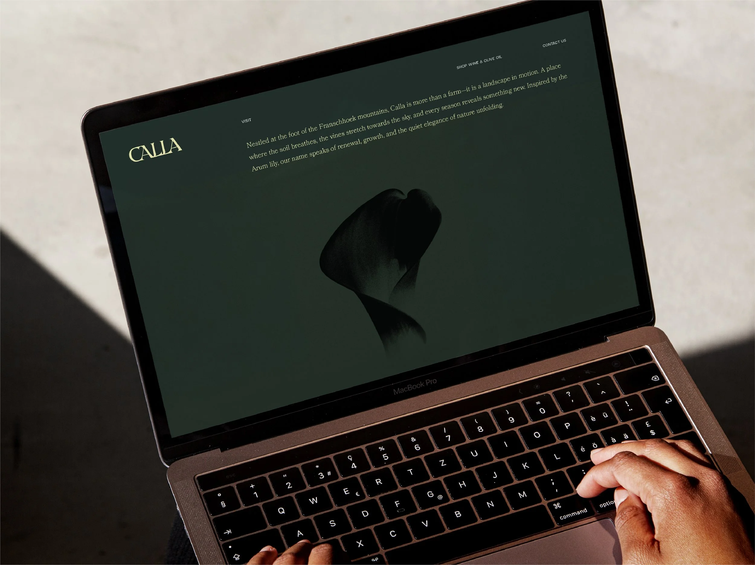 CALLA GRAFT WEBSITE COPY-06.jpg