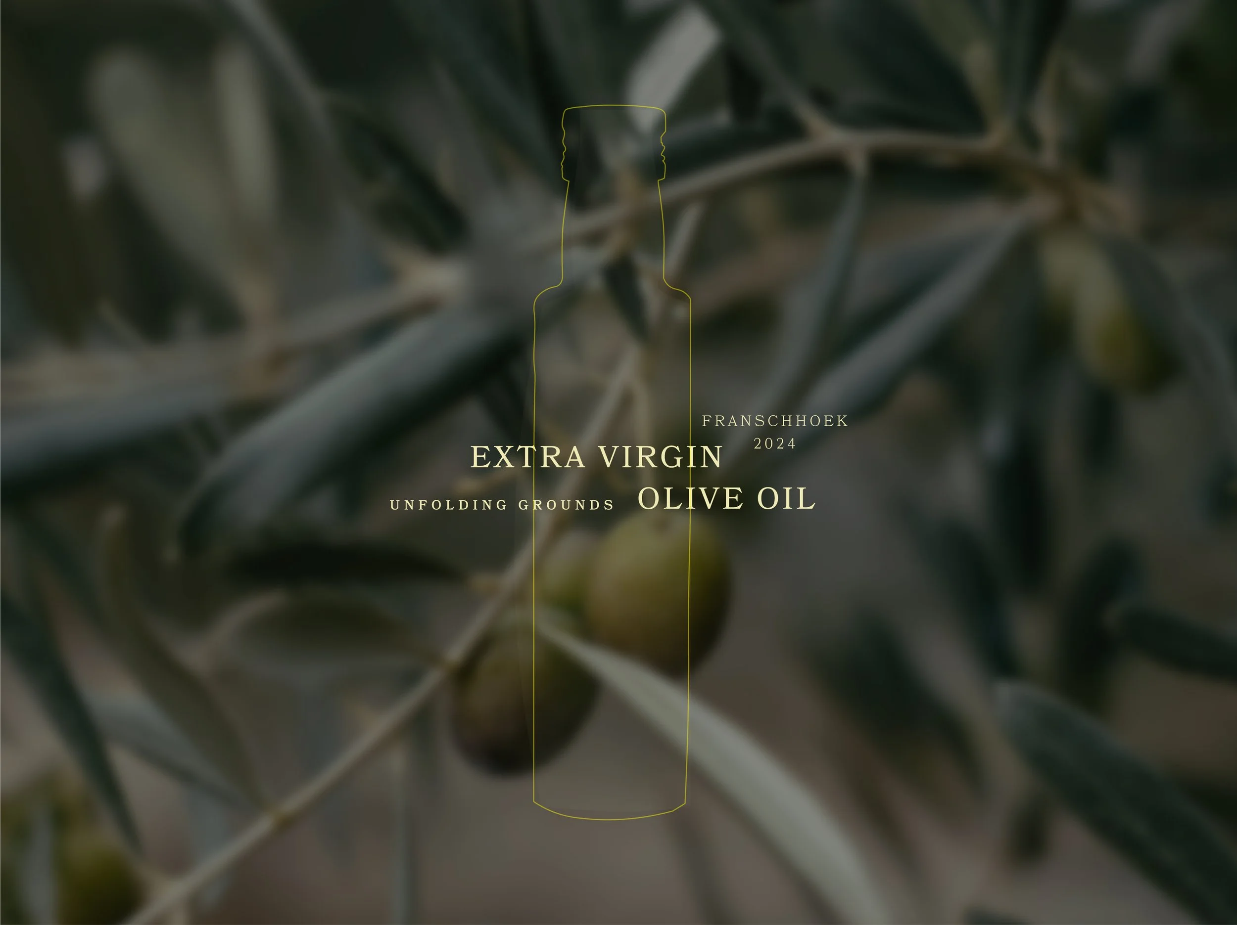 CALLA GRAFT WEBSITE COPY-07.jpg