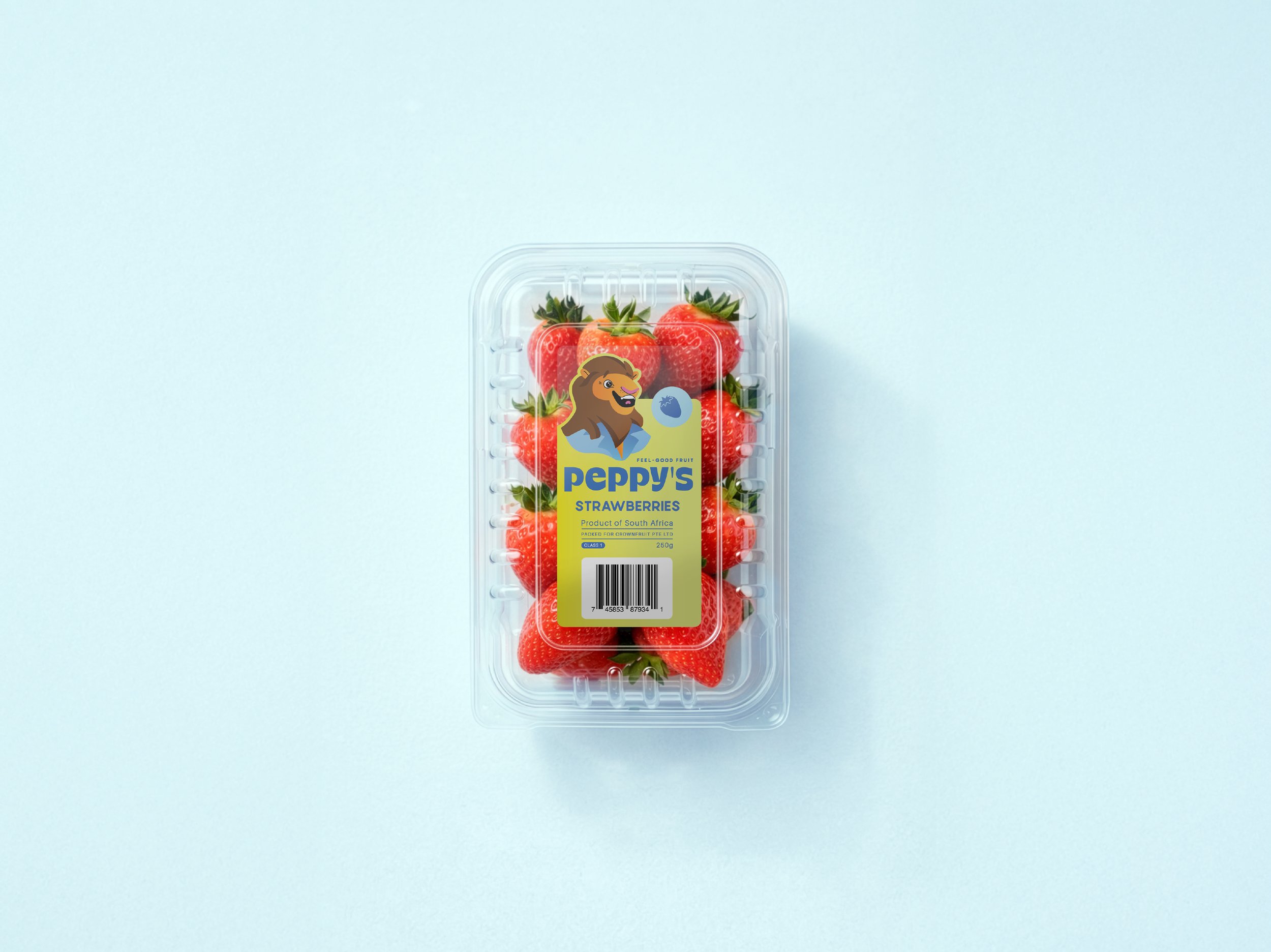 WEBSITE PAGES-08.jpg