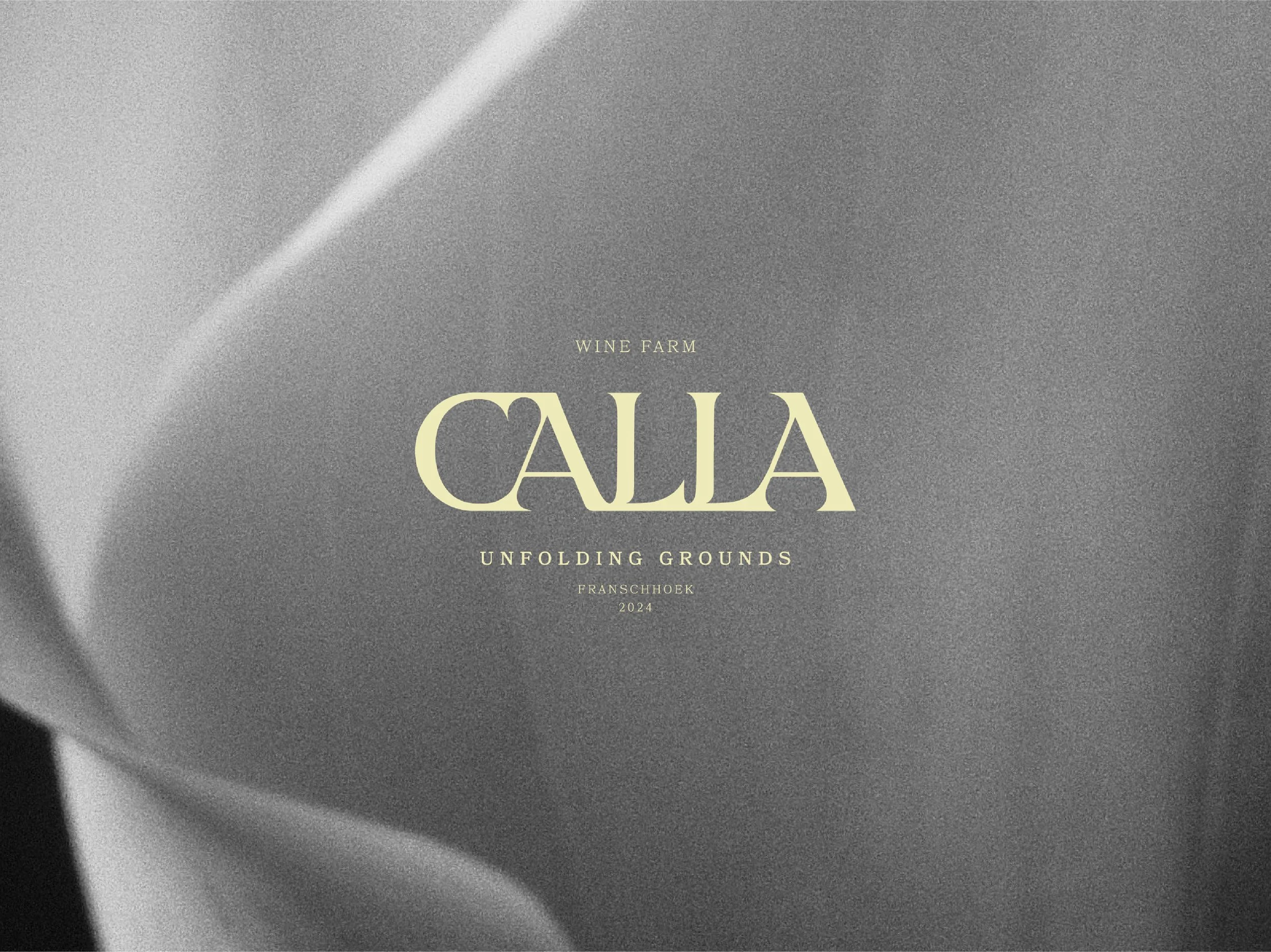 Calla