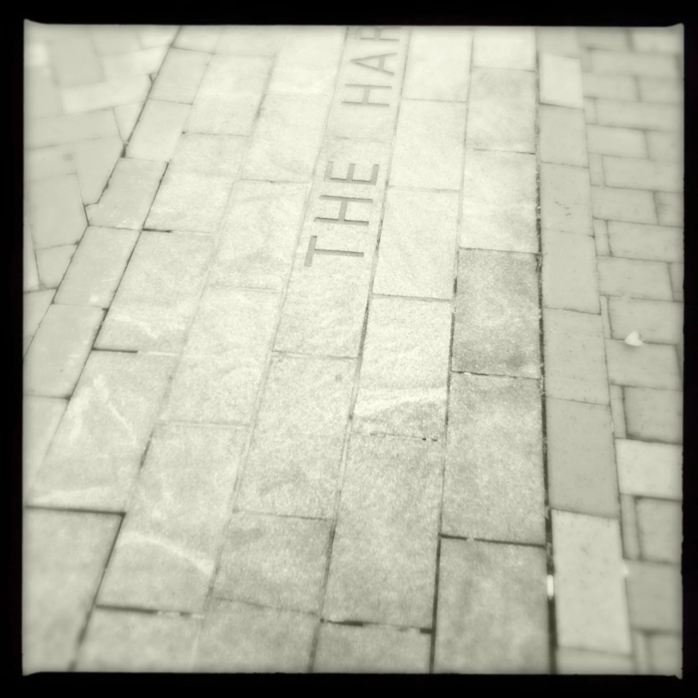 2012-06-21 19.20.21 11.20.34 PM.jpg