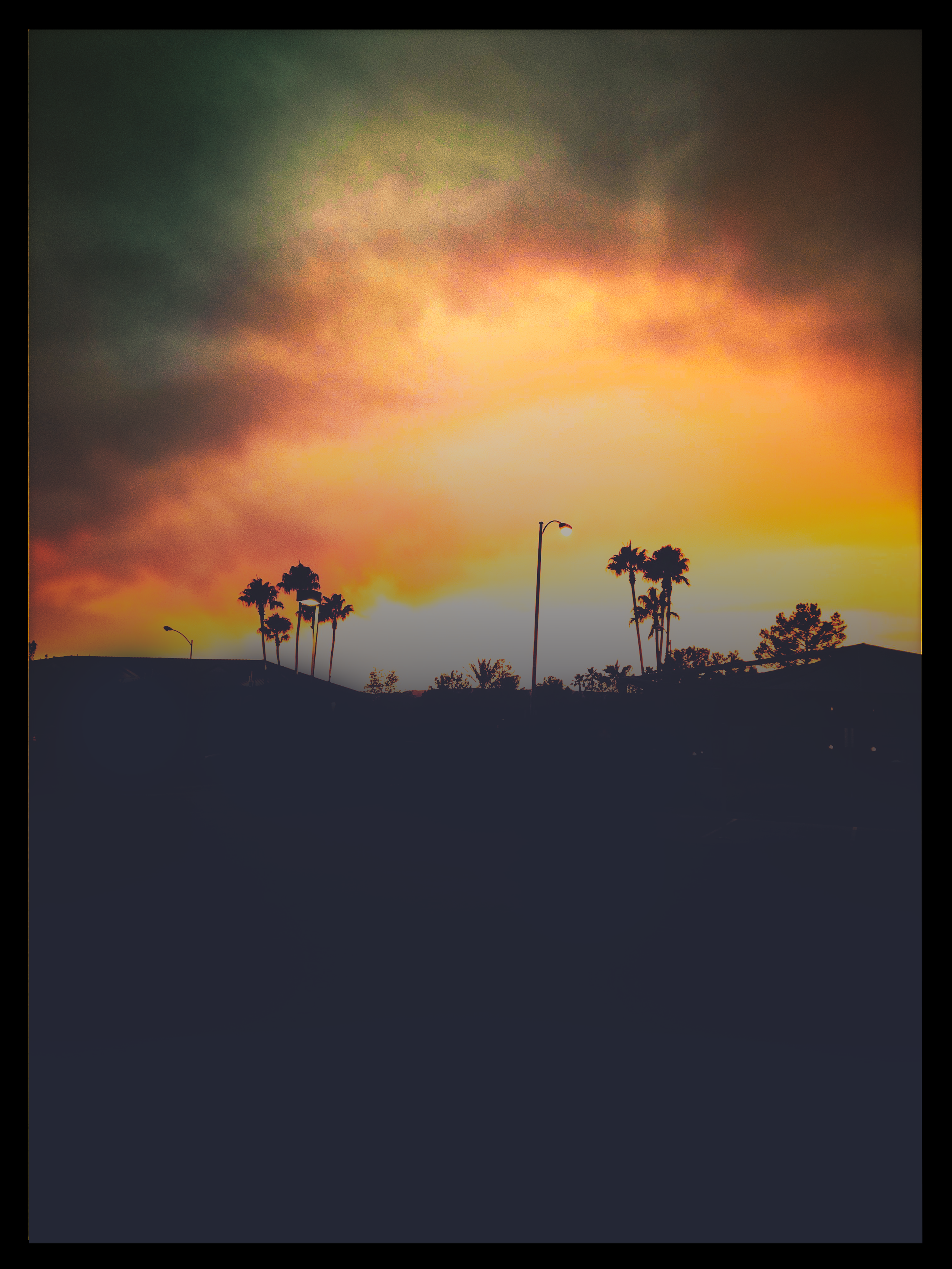 Palms-color-test-bk-frame.png