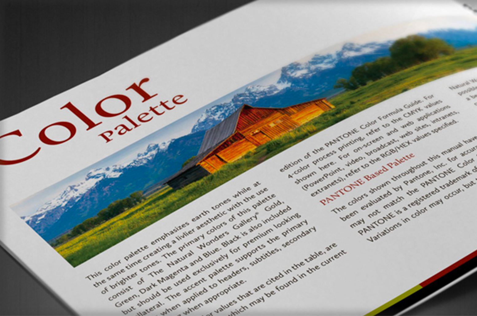 Brand Standard Guide