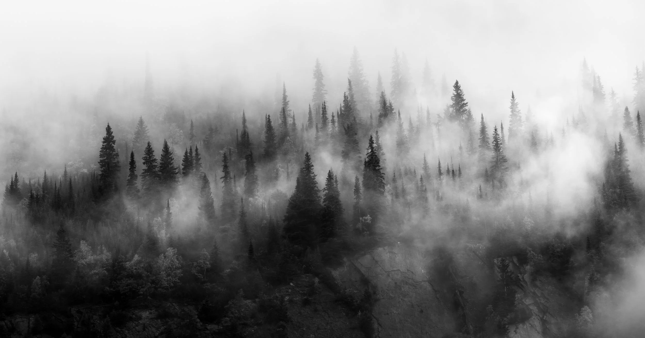 DSC_4421-3.jpg