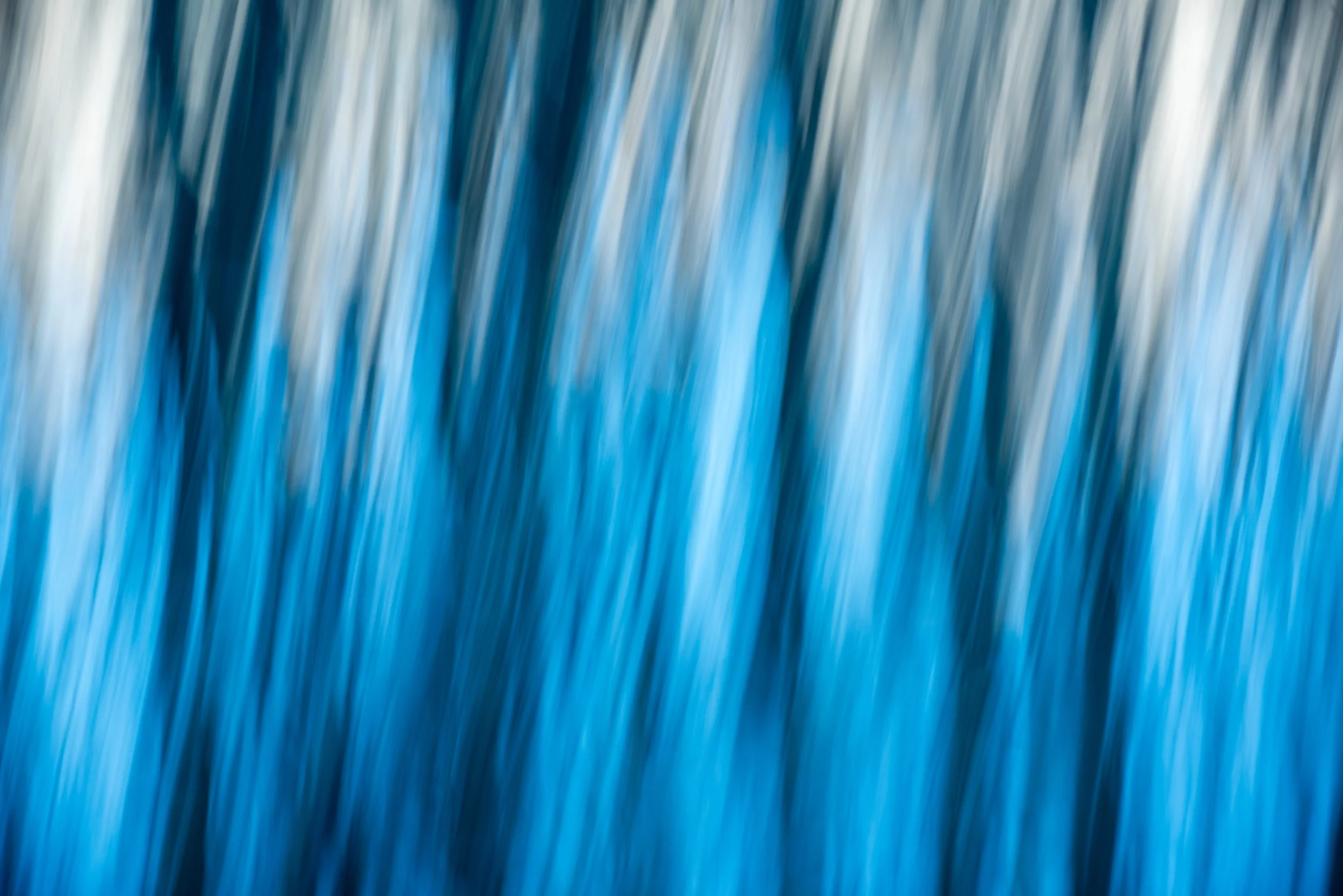 DSC_9245-2.jpg