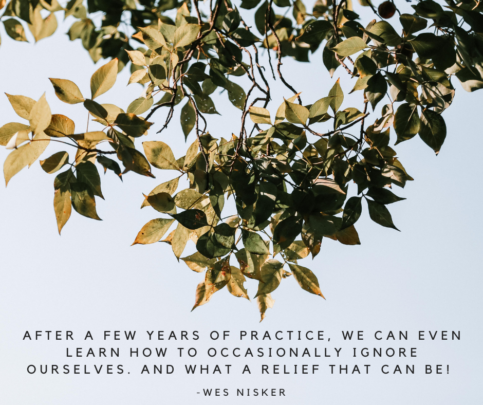 After a few years of practice, we can even learn how to occasionally ignore ourselves. And what a relief that can be! -Wes Nisker.png