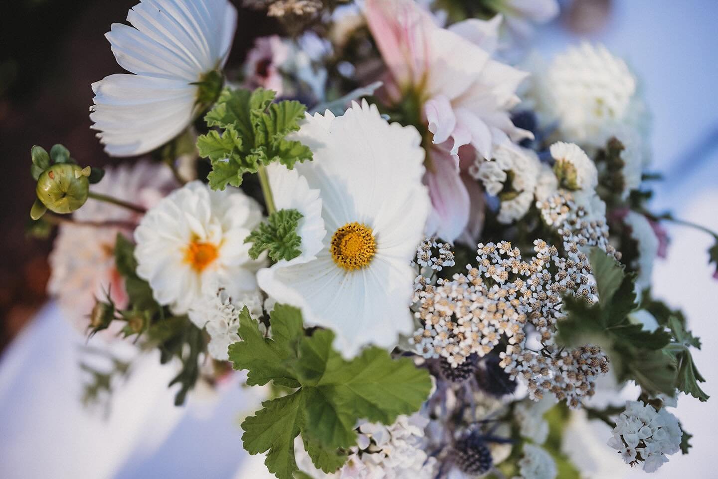 It&rsquo;s a wedding week over here!
.
Even after having done this for 9 years, I still get so much joy out of seeing all the details come together on a couple&rsquo;s special day. Follow along for the fun this weekend!
.
.
.
📸 // @chrisklasphoto 
?