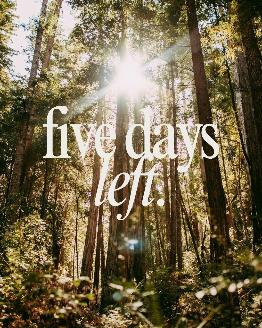 Mark your calendars and set your alarms, on Tuesday, January 27th at 10 AM PST, MTHR 2026 tickets drop. 💌​​​​​​​​
​​​​​​​​
Our retreats sell out fast, especially once our speaker lineup is announced, so do not wait. This is your chance to secure you